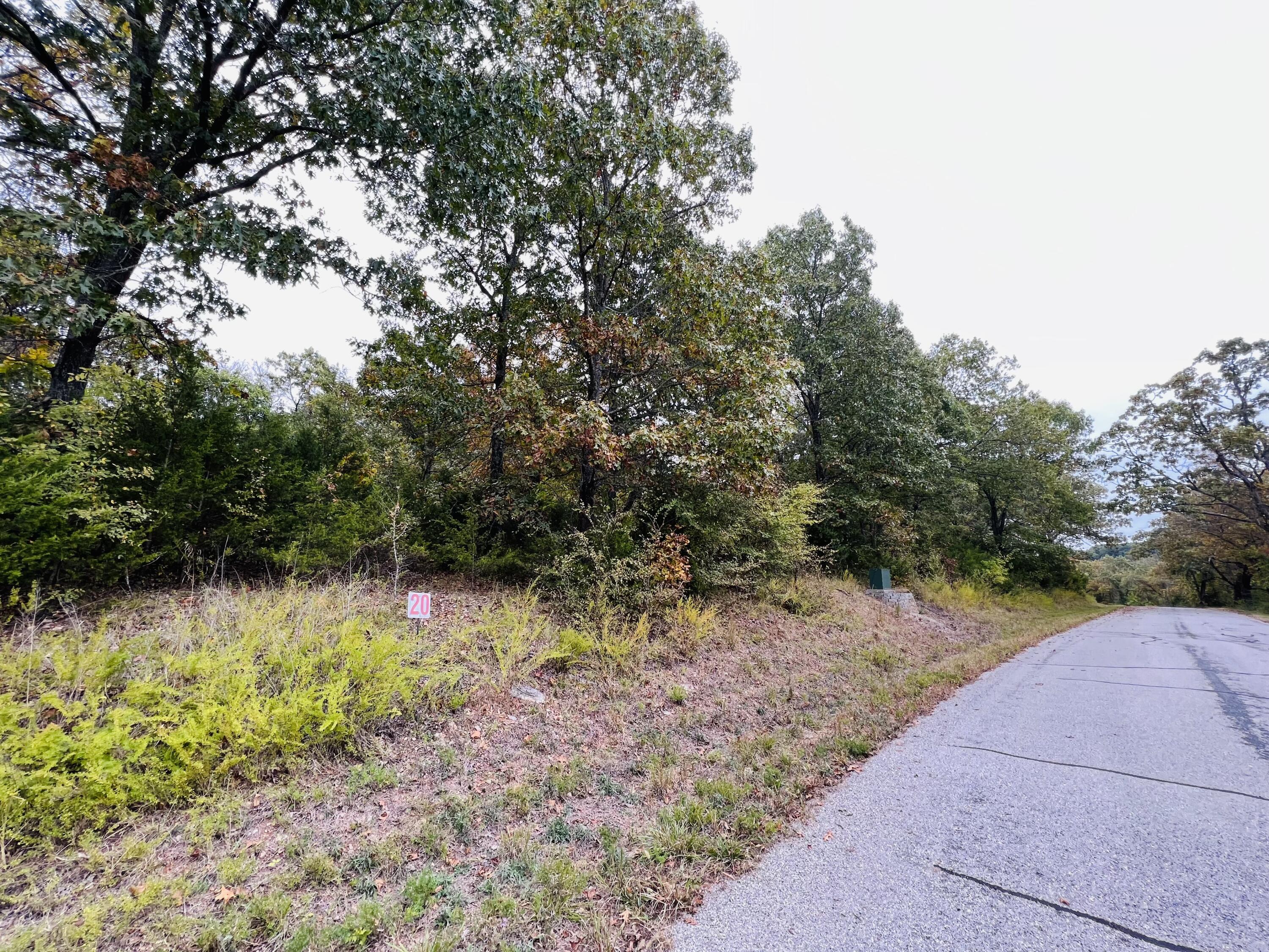Lot 10 Hanging Branch Ridge Property Photo 7