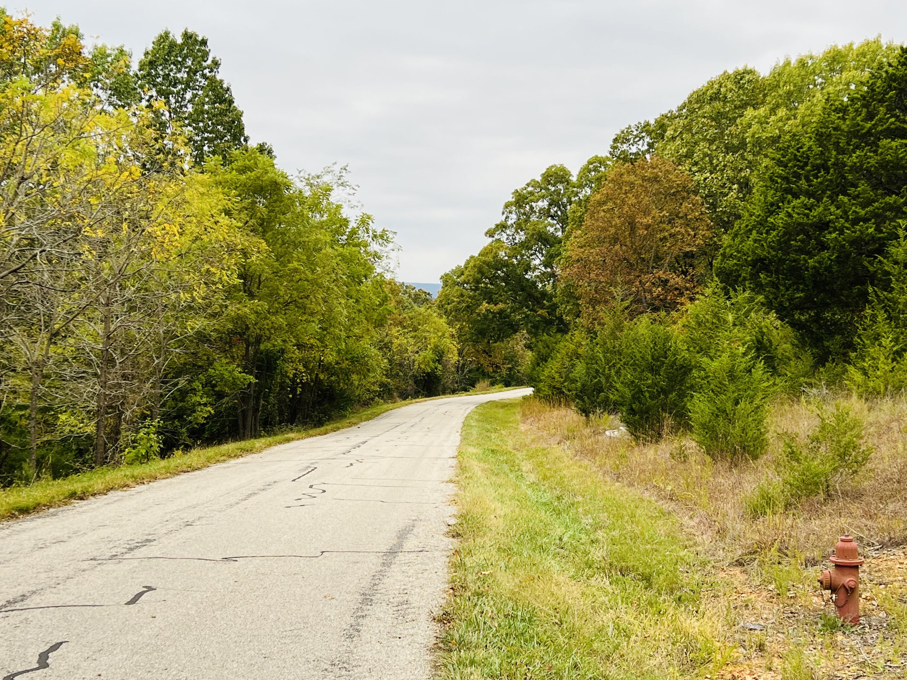 Lot 10 Hanging Branch Ridge Property Photo 9