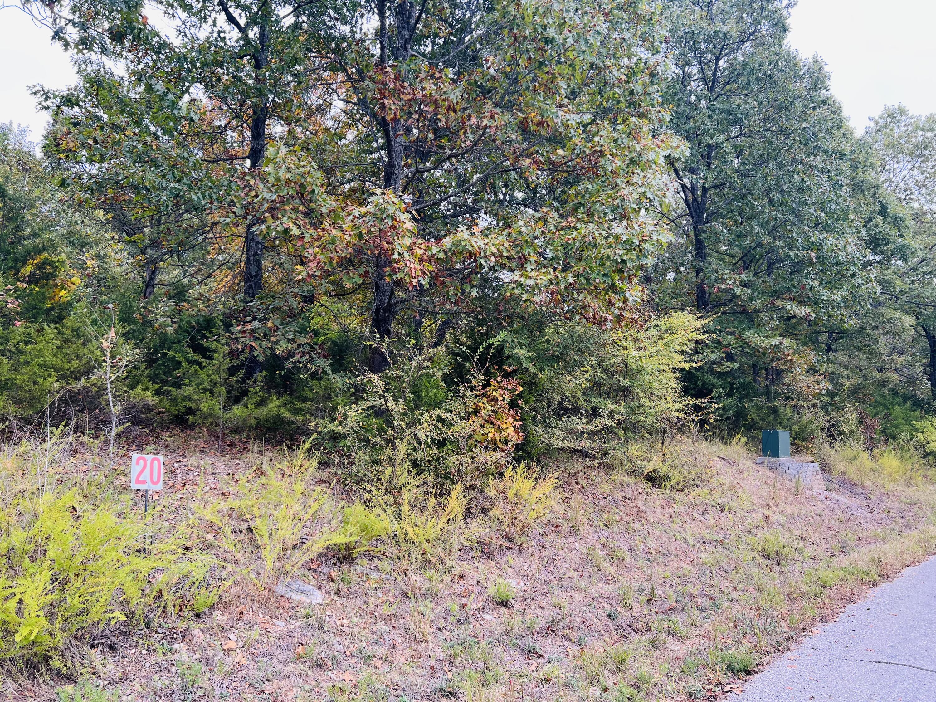 Lot 35 Hanging Branch Ridge Property Photo 7