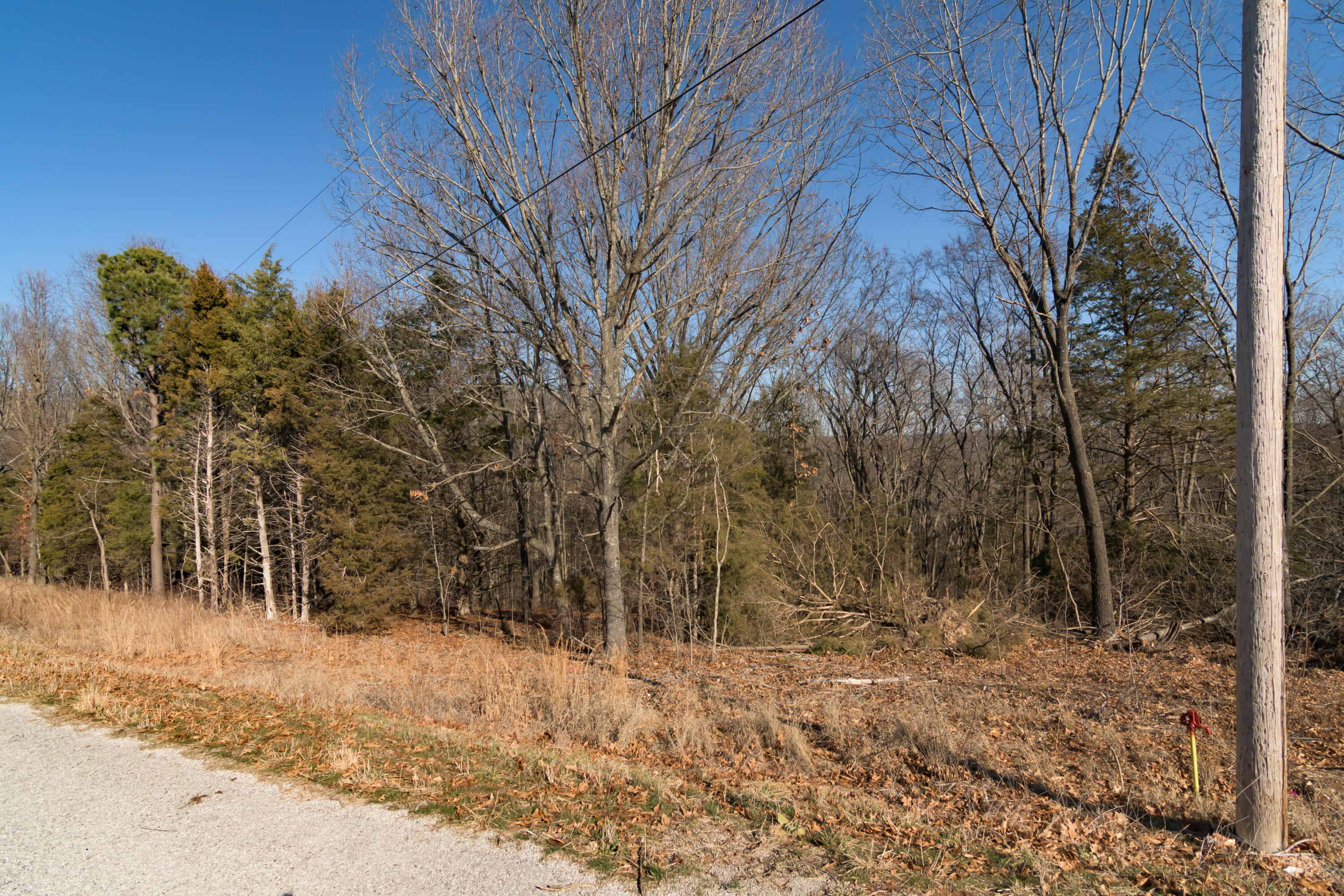 Lot 11 By Pass Loop Property Photo 4