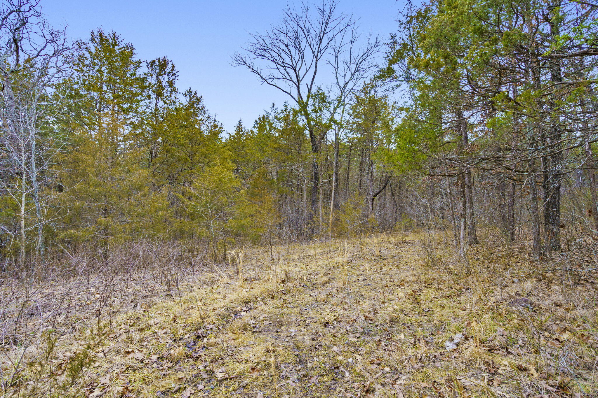 Tbd Alyeska Point Road Property Photo 10