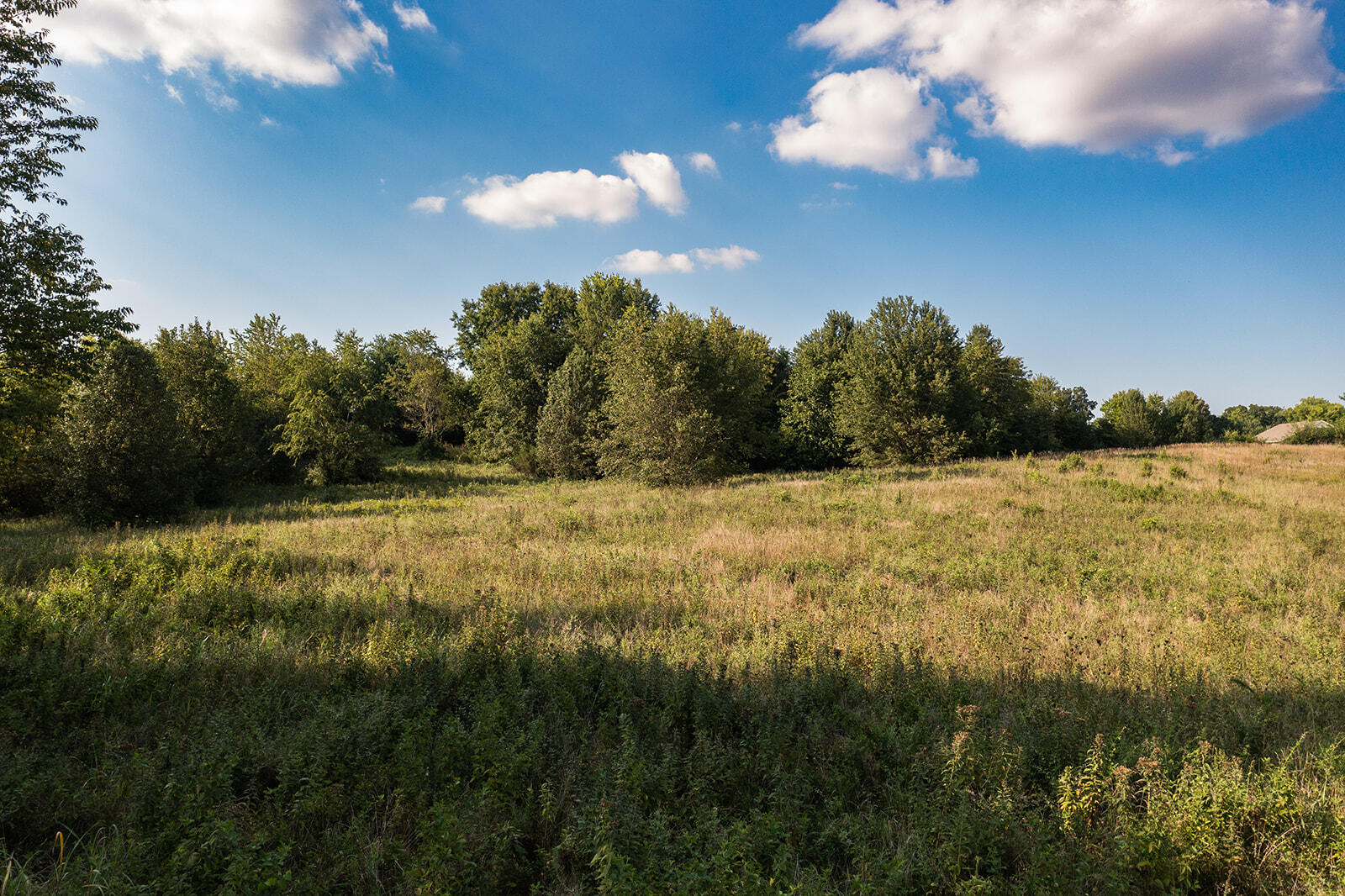 000 West Hickory Ridge Drive Property Photo 12