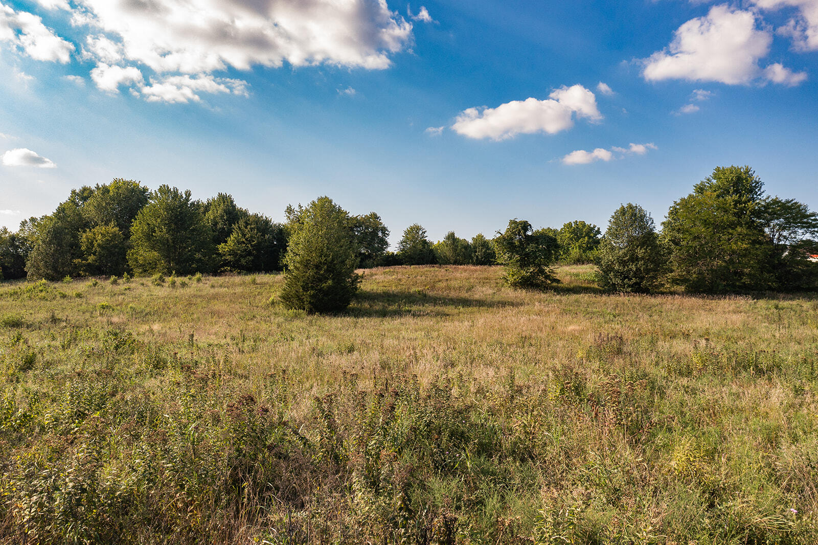 000 West Hickory Ridge Drive Property Photo 15