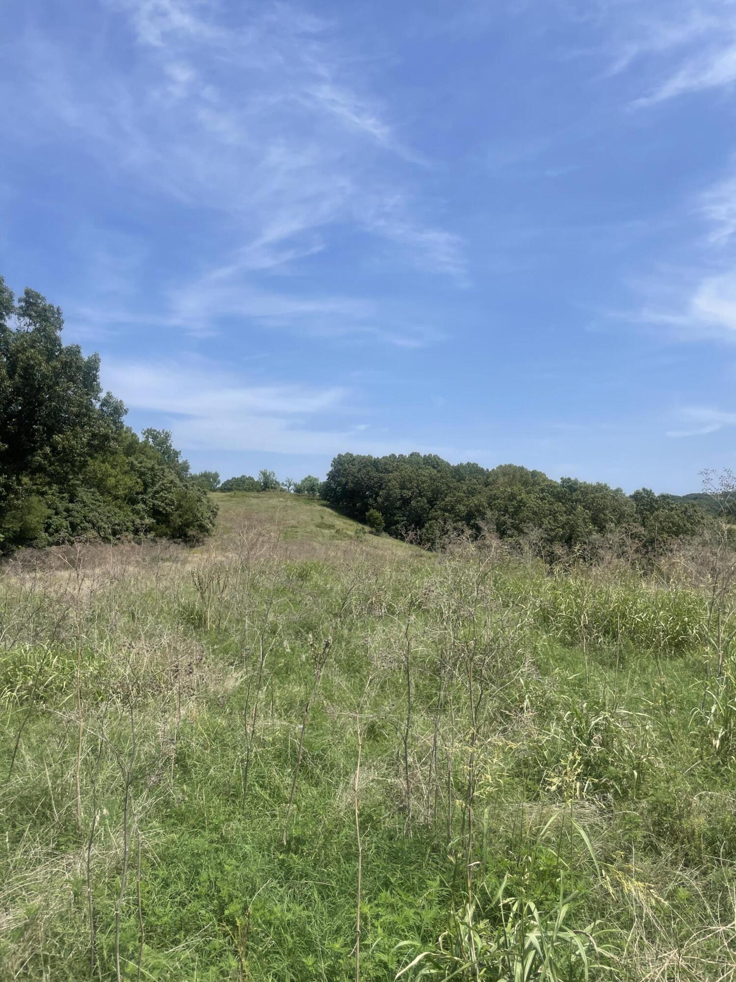 248 Elk O Zar Road Property Photo 11