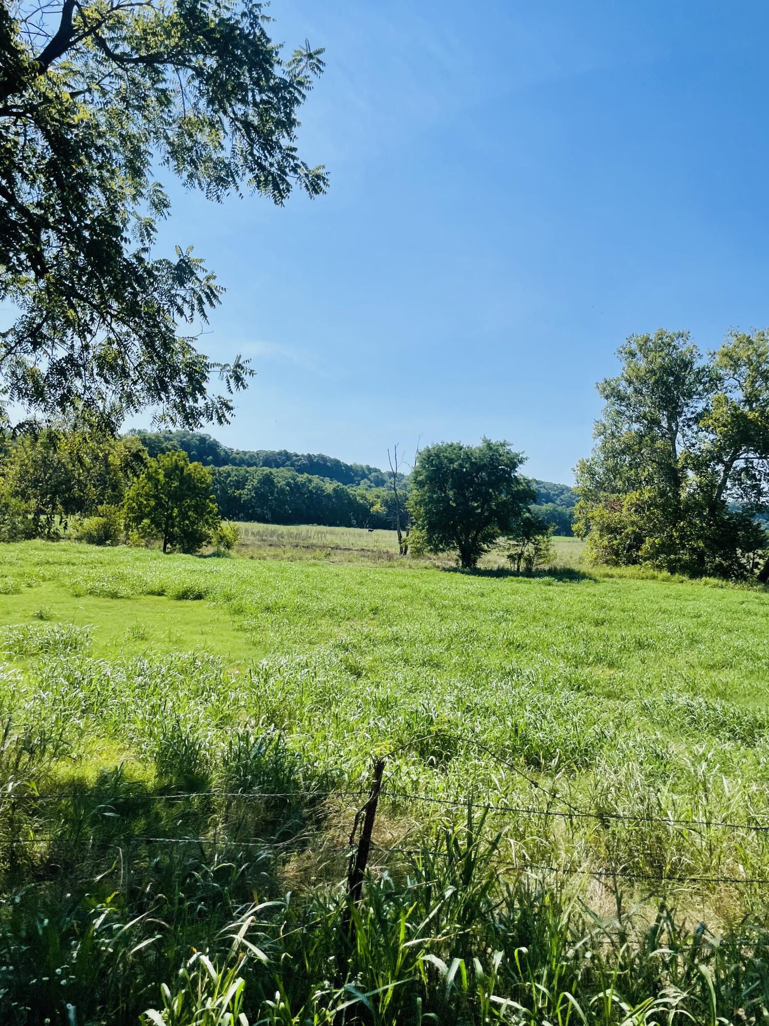248 Elk O Zar Road Property Photo 12