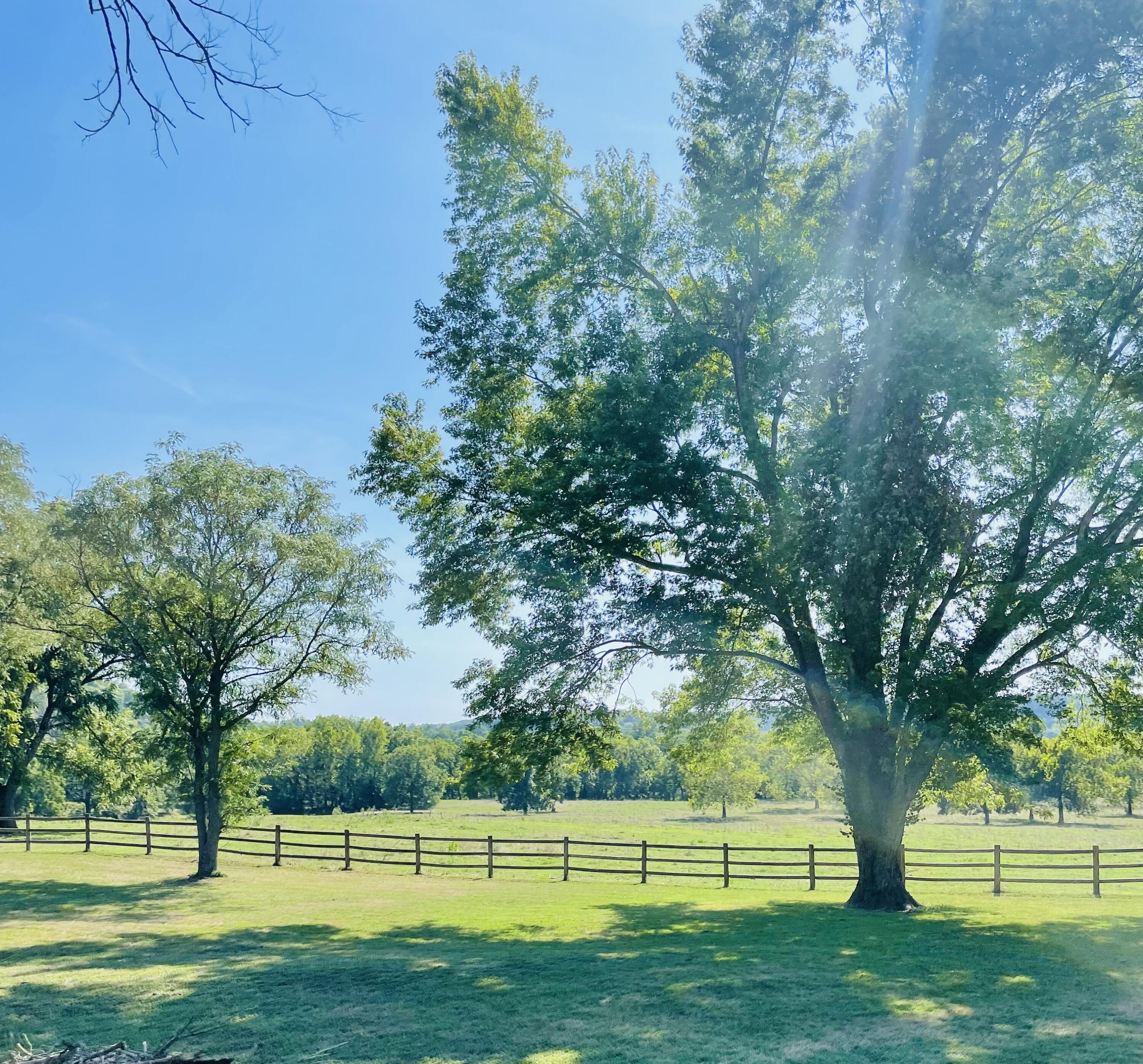 248 Elk O Zar Road Property Photo 14