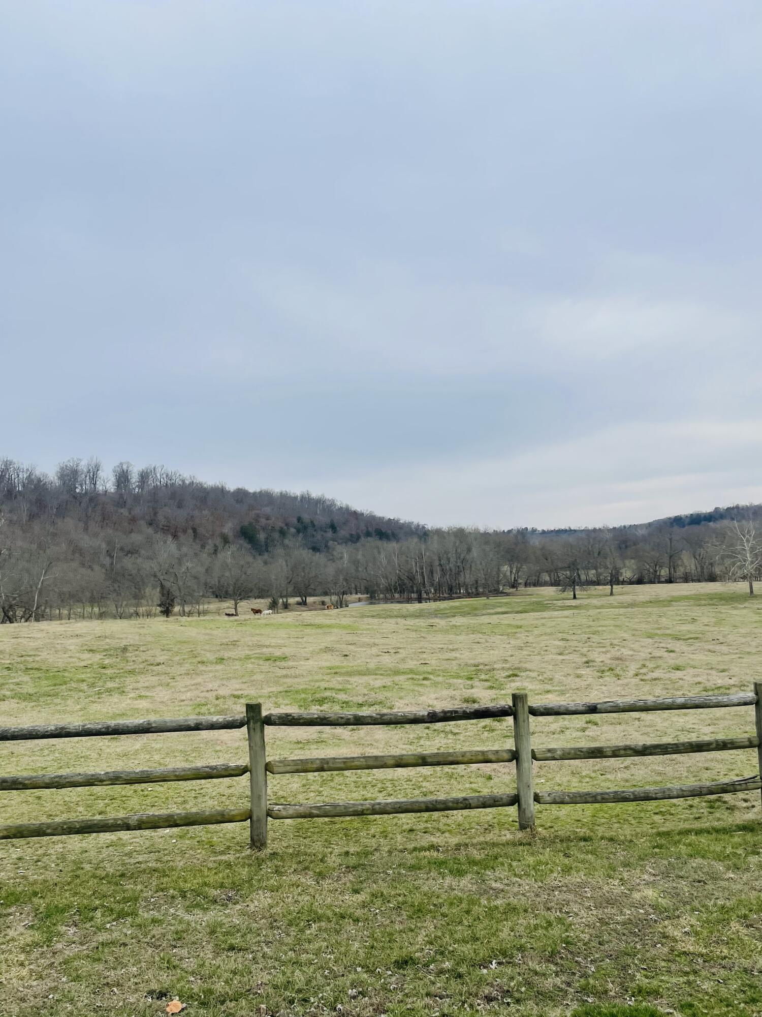 248 Elk O Zar Road Property Photo 52