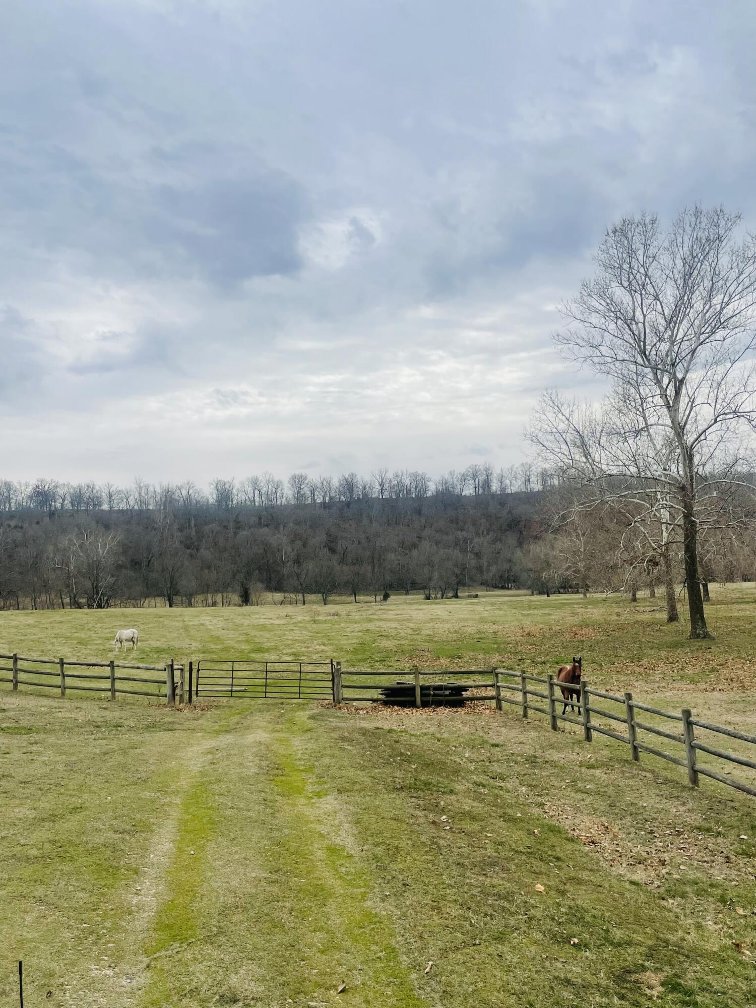 248 Elk O Zar Road Property Photo 68