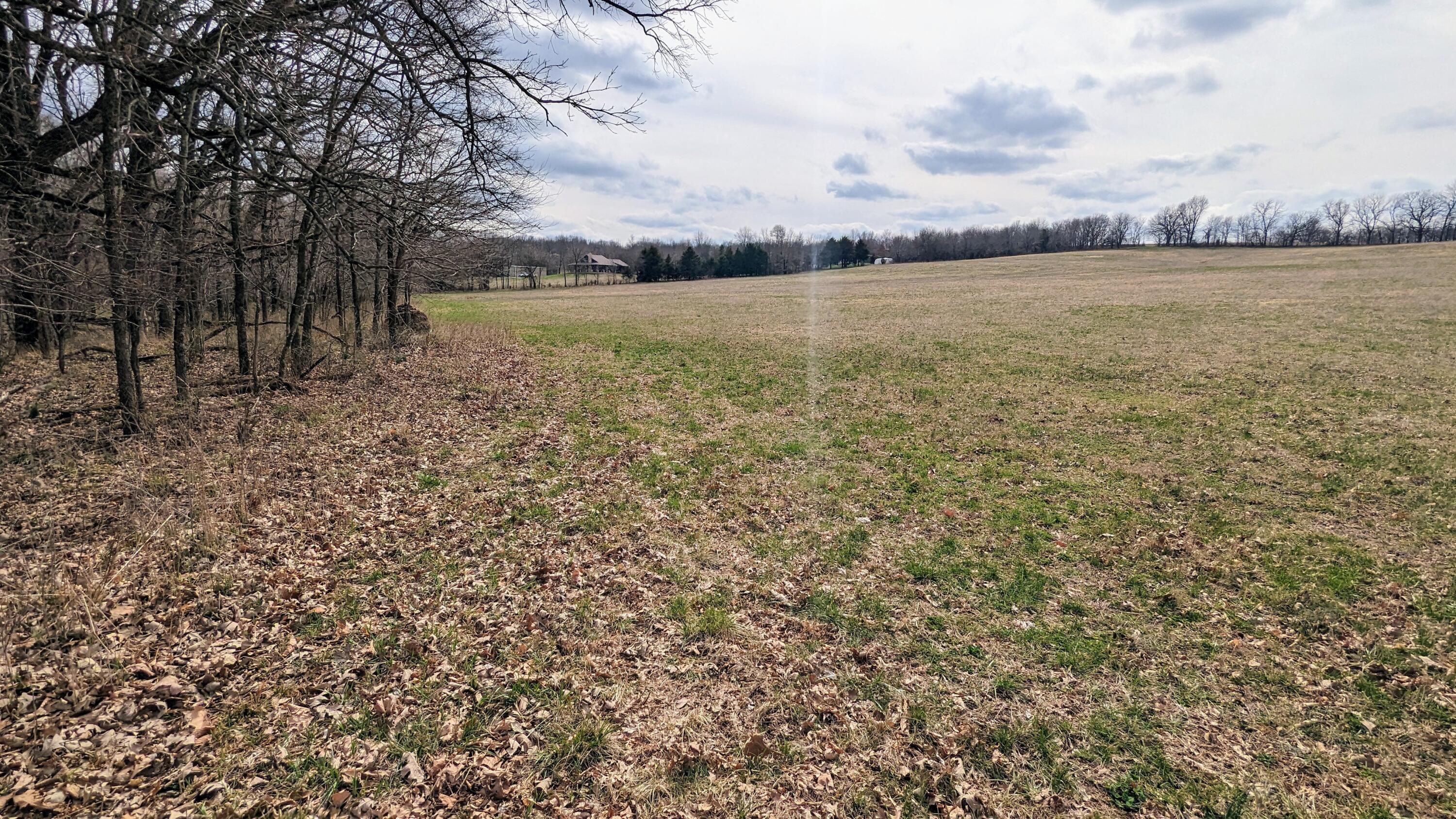 Tract F North Farm Road 61 Property Photo 6