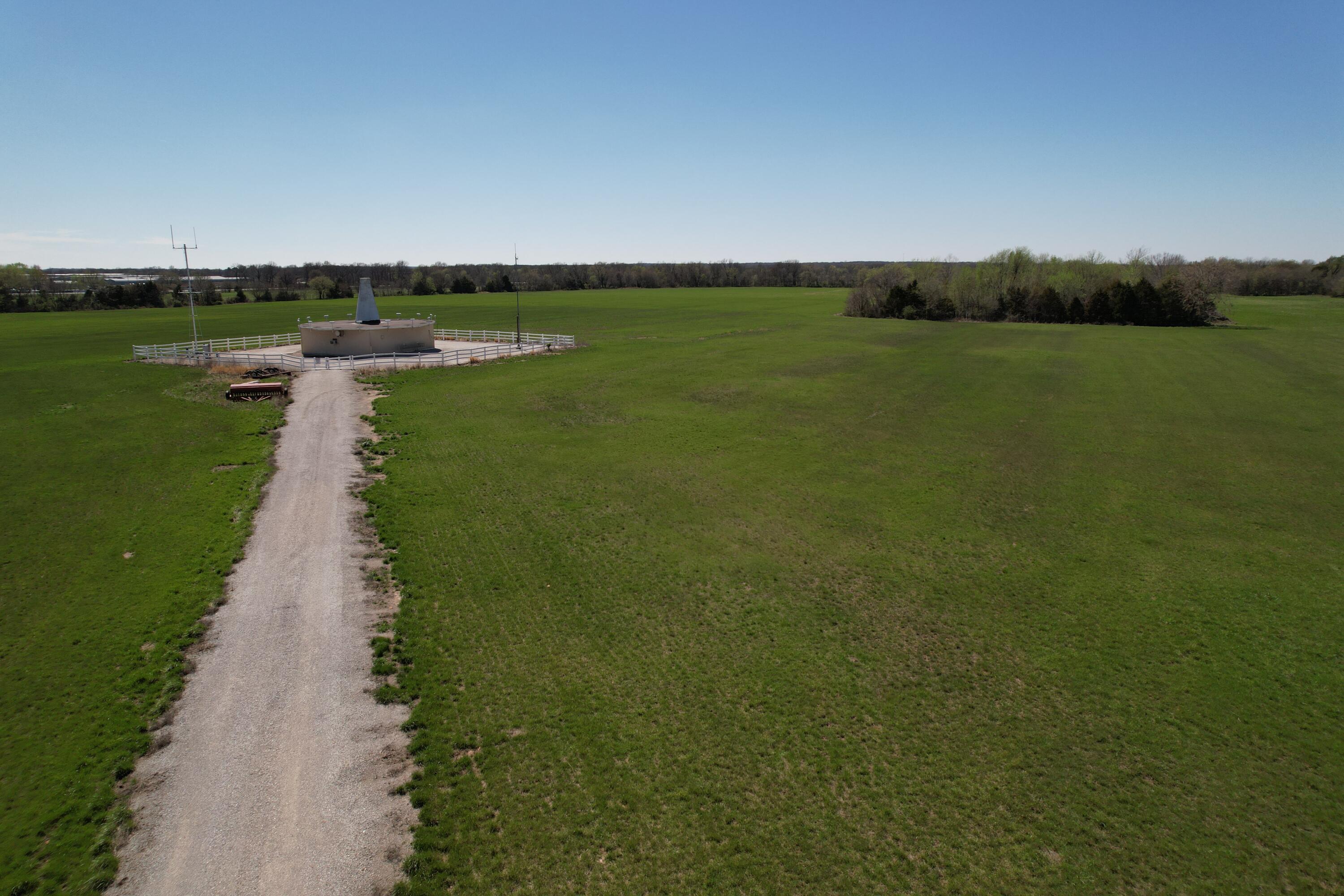 11818 Nettle Drive Property Photo 7
