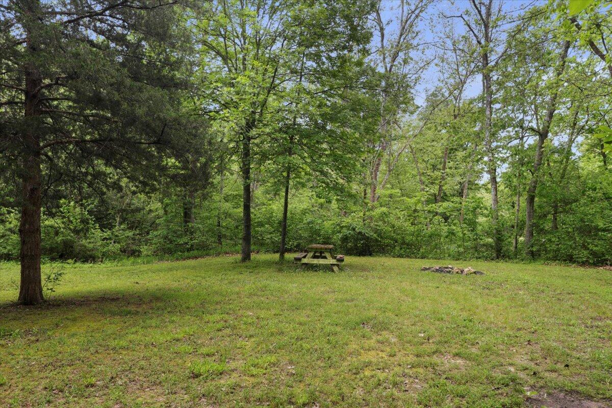 7064 County Road 14-223 East Property Photo 6