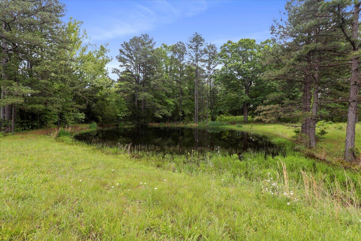 7064 County Road 14-223 East Property Photo 44