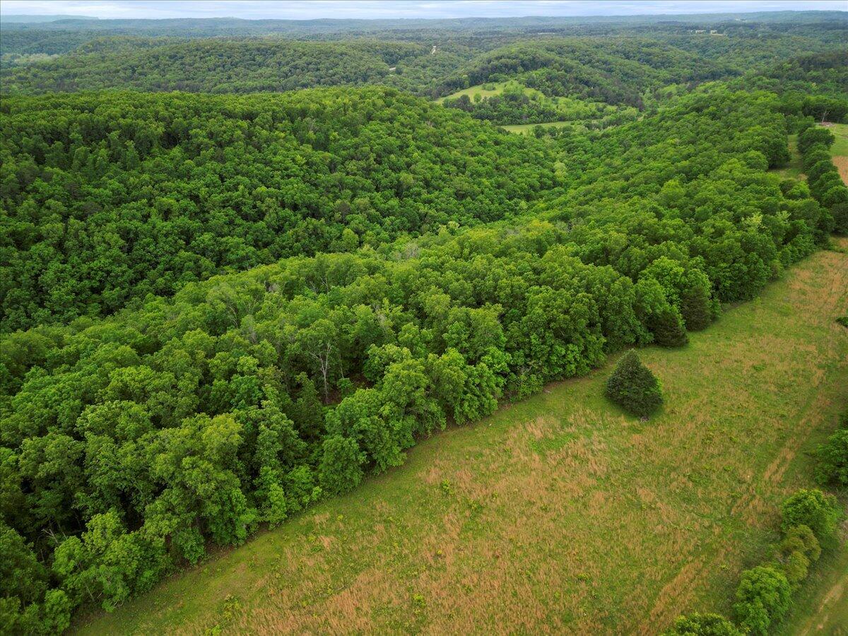 7064 County Road 14-223 East Property Photo 50