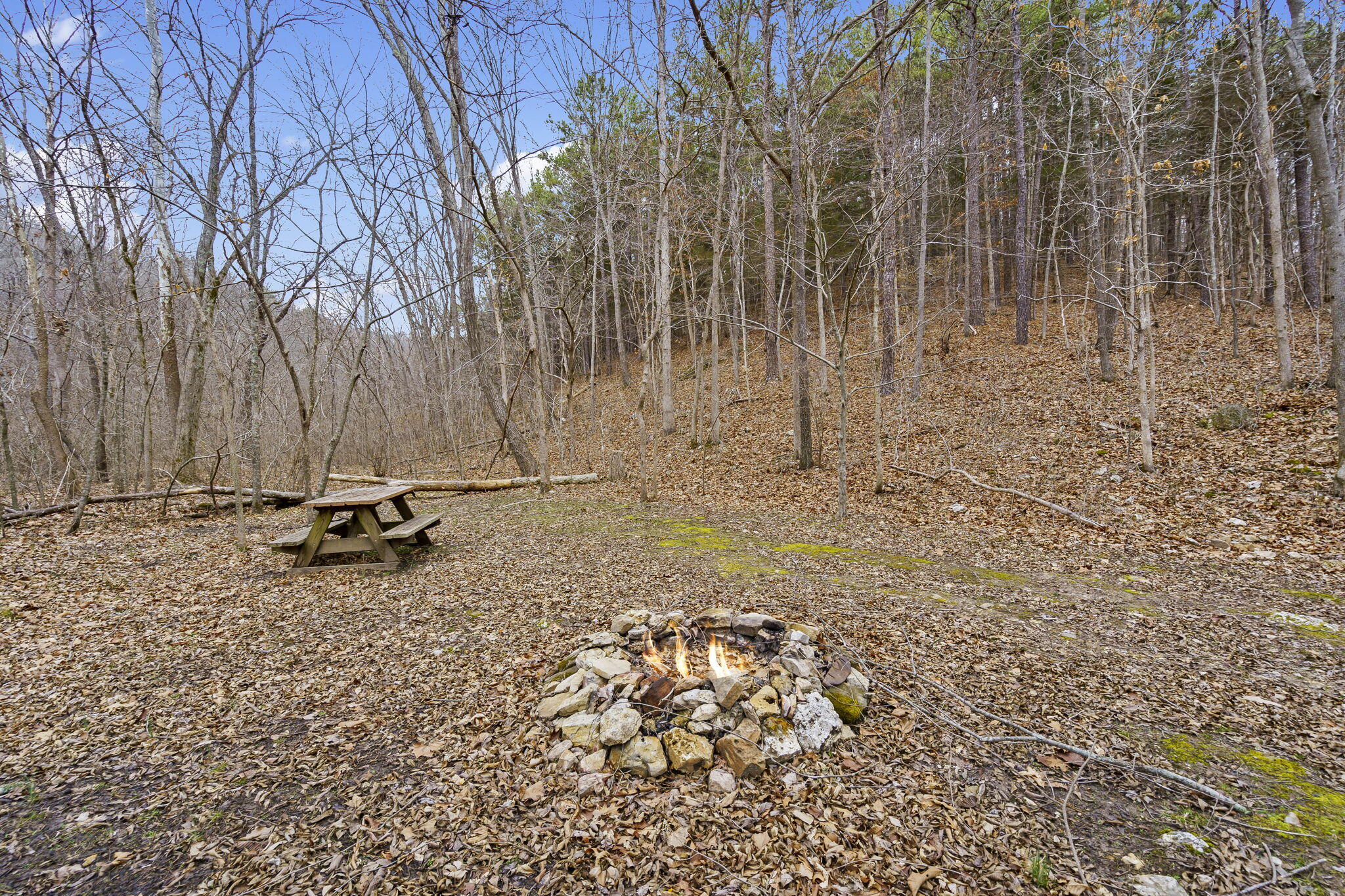 7064 County Road 14-223 East Property Photo 62