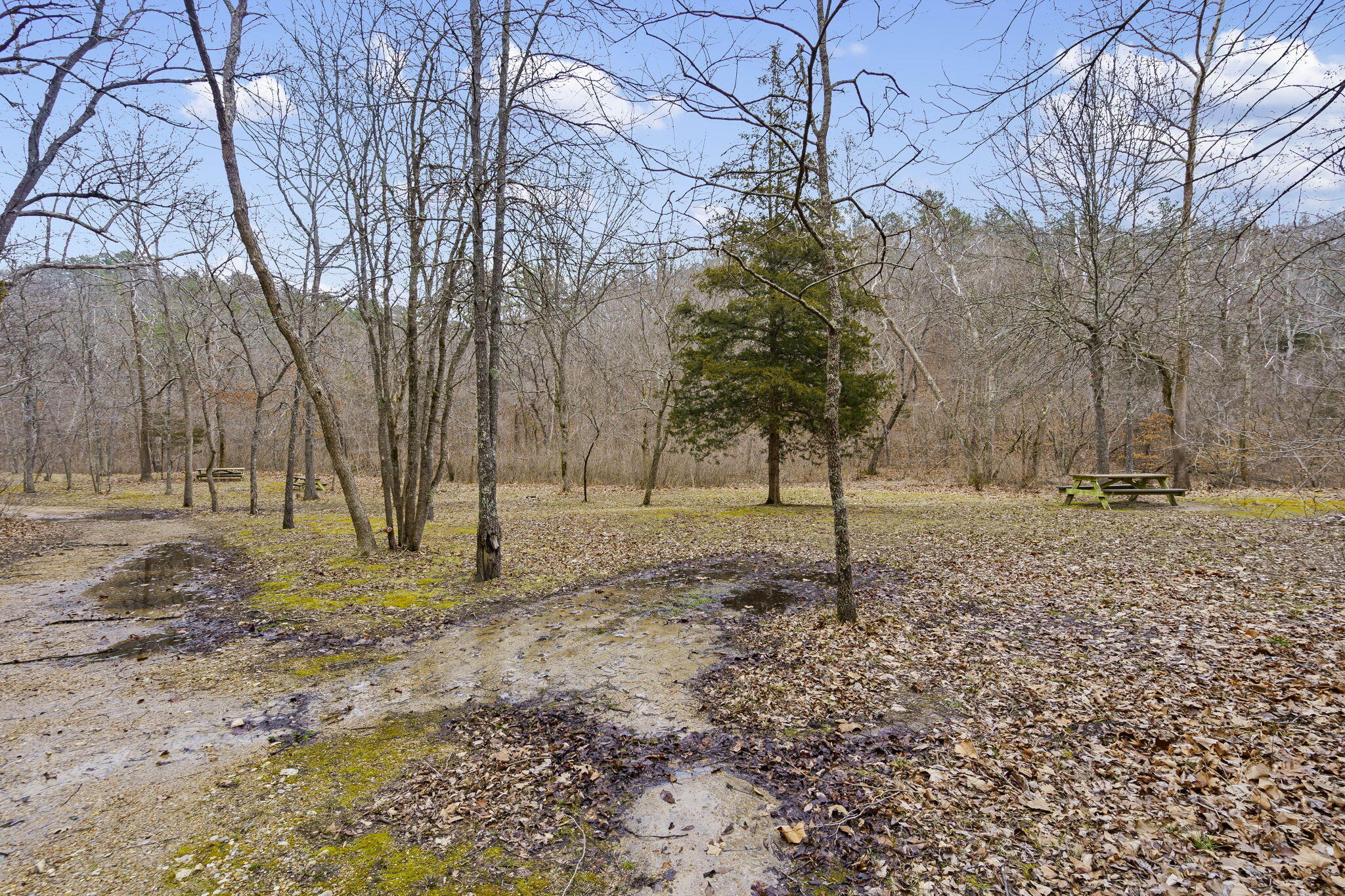 7064 County Road 14-223 East Property Photo 63