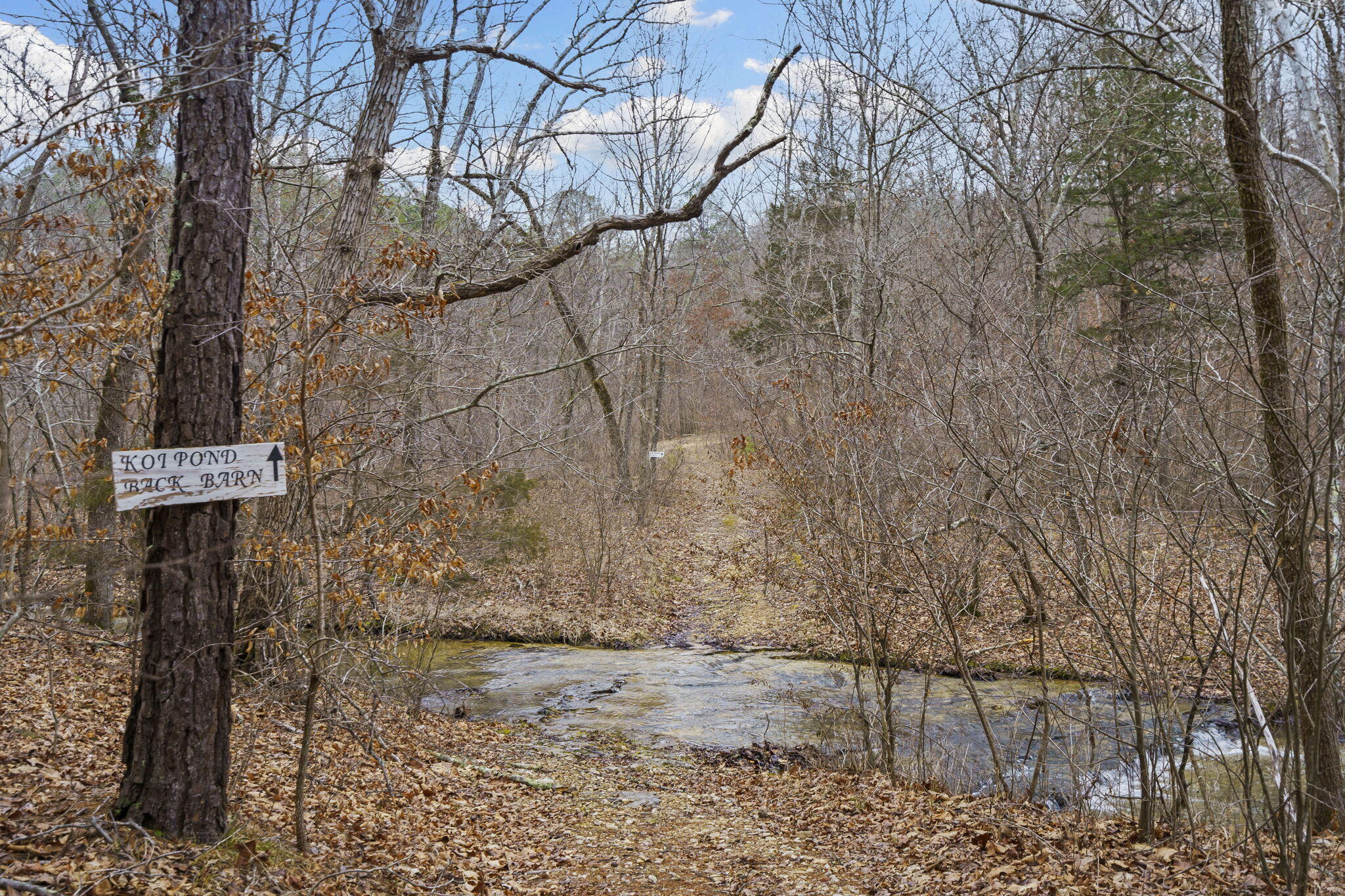 7064 County Road 14-223 East Property Photo 65
