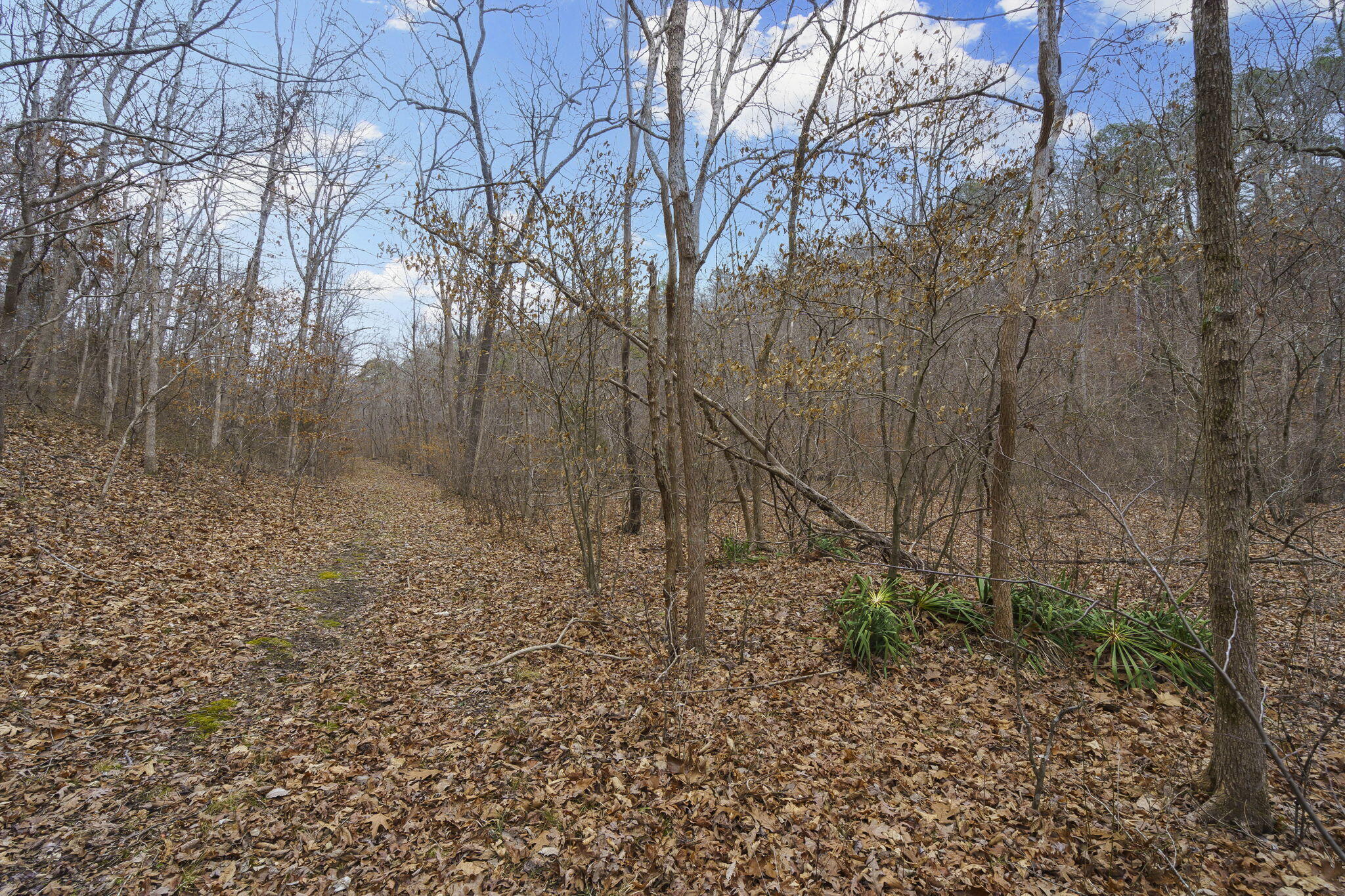 7064 County Road 14-223 East Property Photo 66