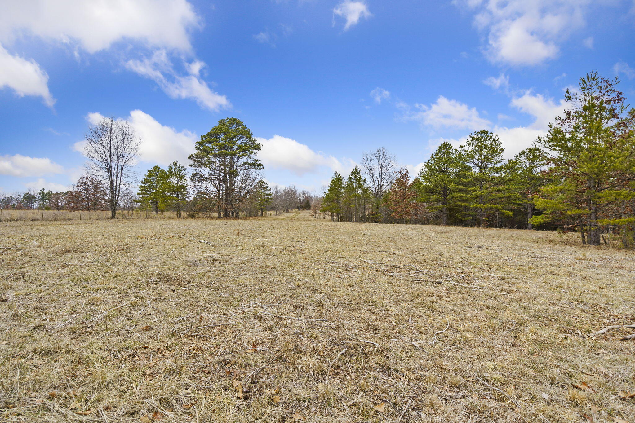7064 County Road 14-223 East Property Photo 77