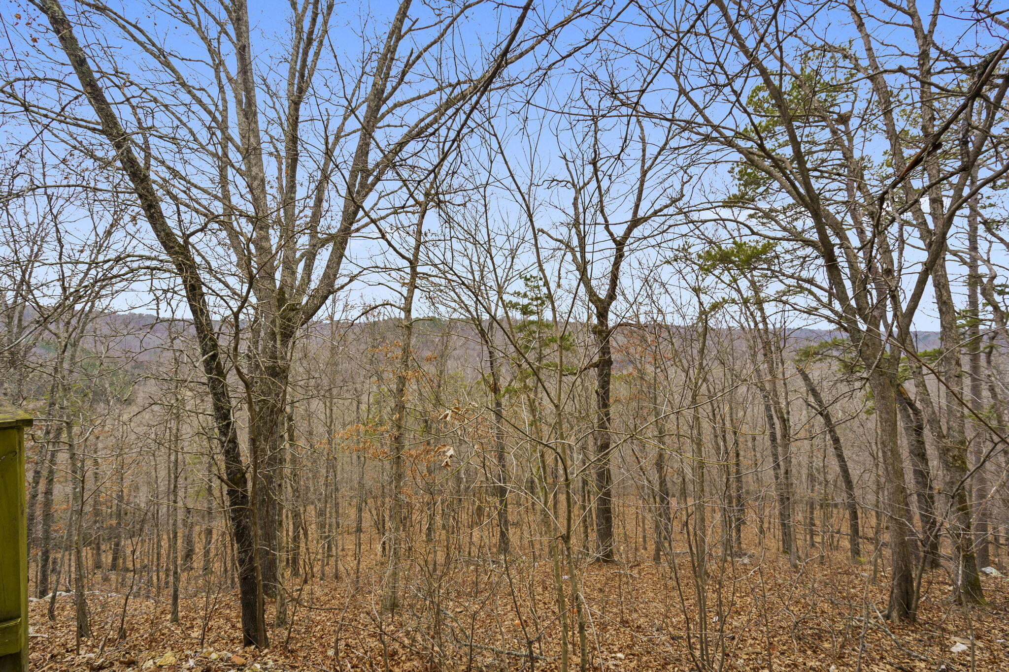 7064 County Road 14-223 East Property Photo 83