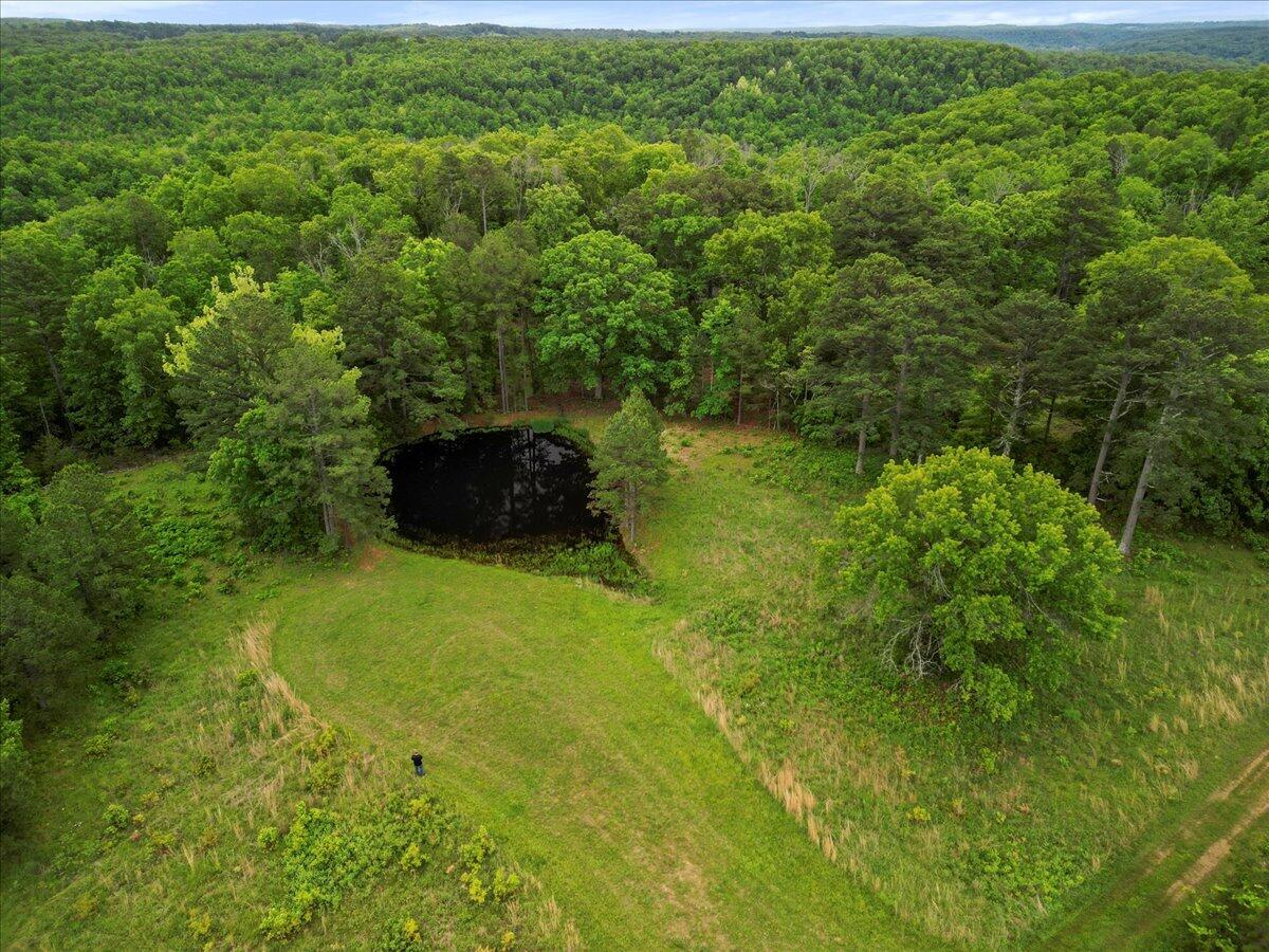 7064 County Road 14-223 East Property Photo 92