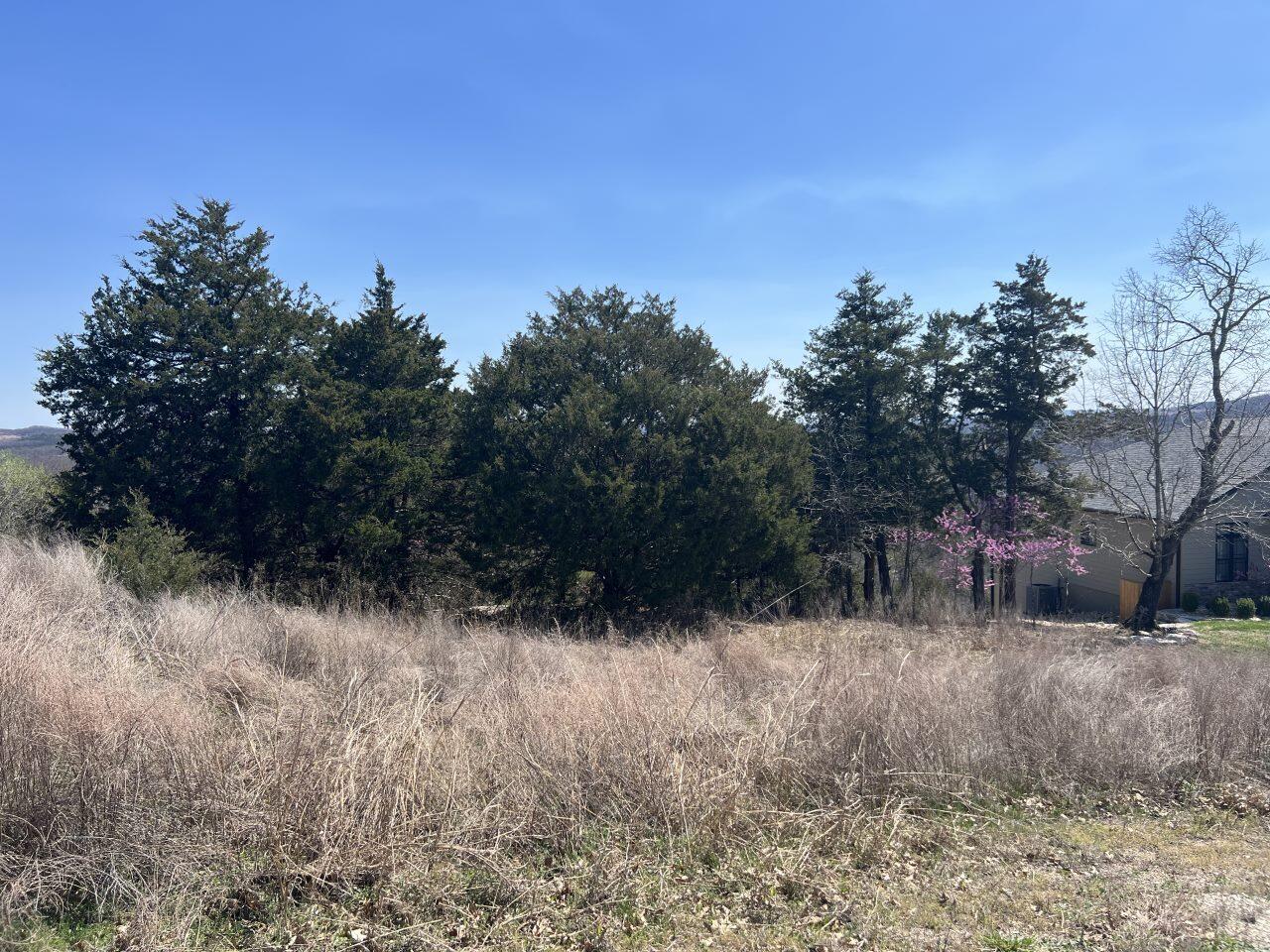 Lot 116 Black Forest Lane Property Photo 1