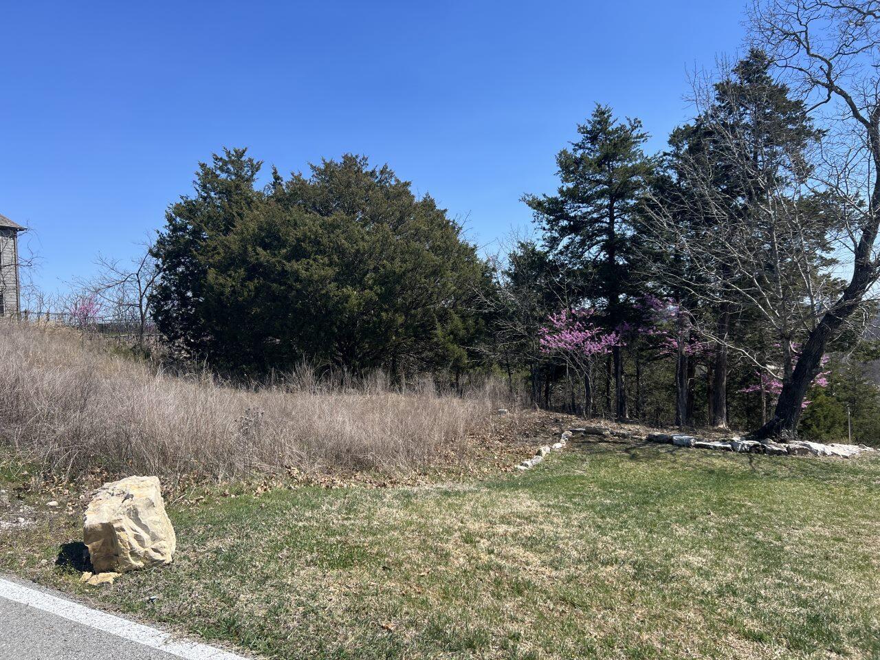 Lot 116 Black Forest Lane Property Photo 2