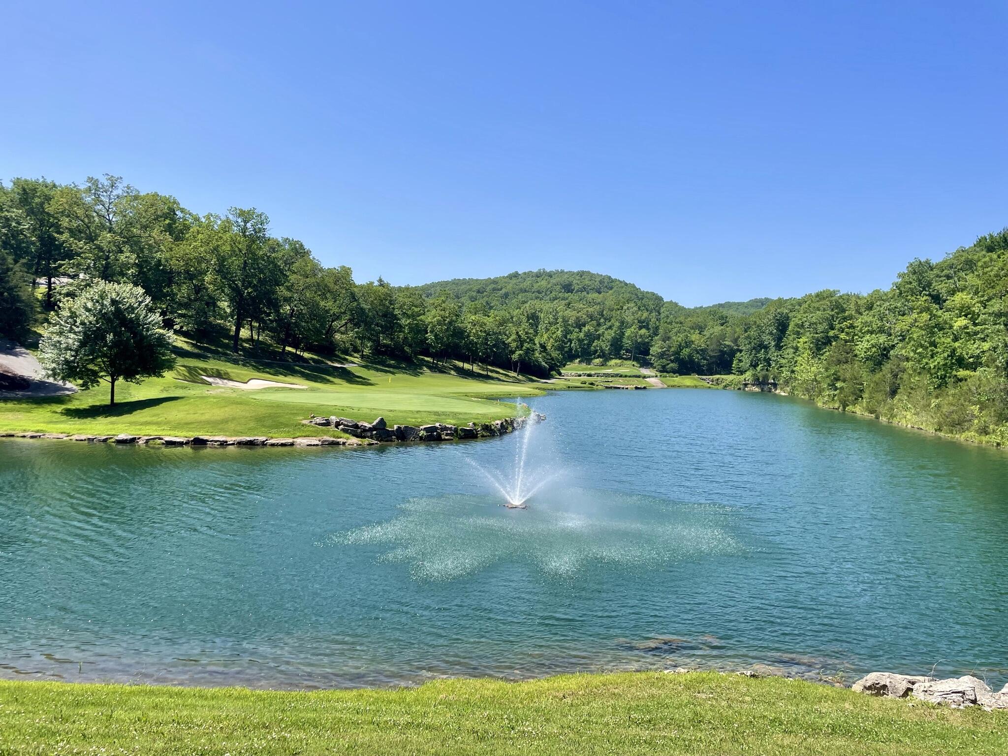 Lot 116 Black Forest Lane Property Photo 8