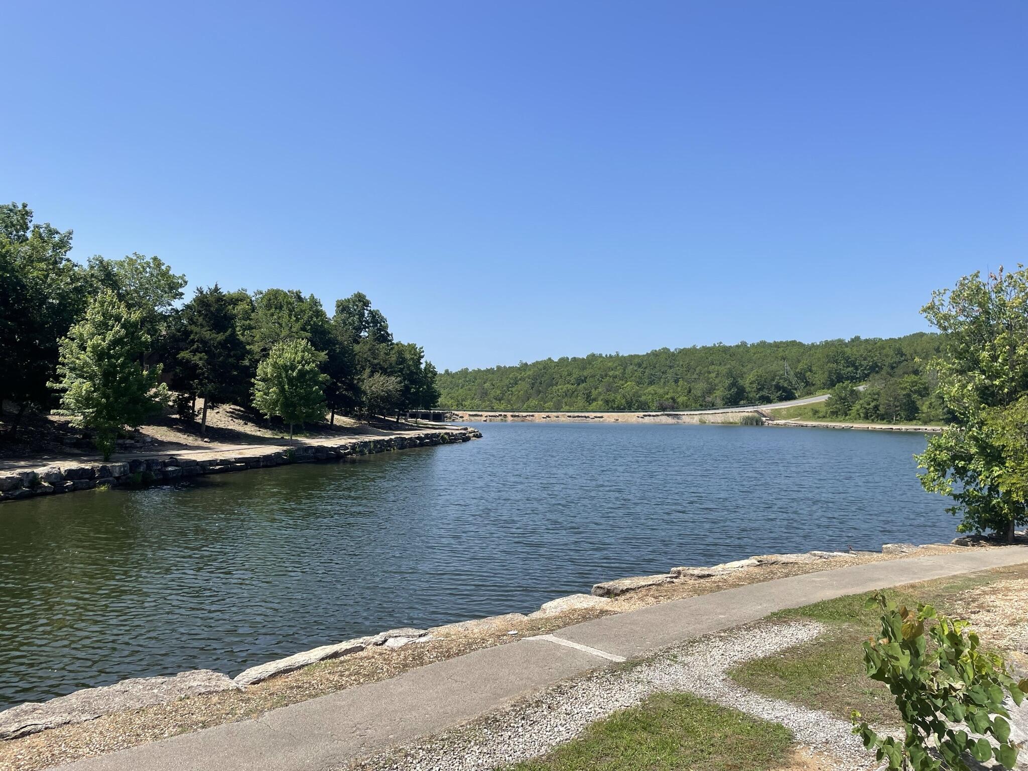 Lot 116 Black Forest Lane Property Photo 12