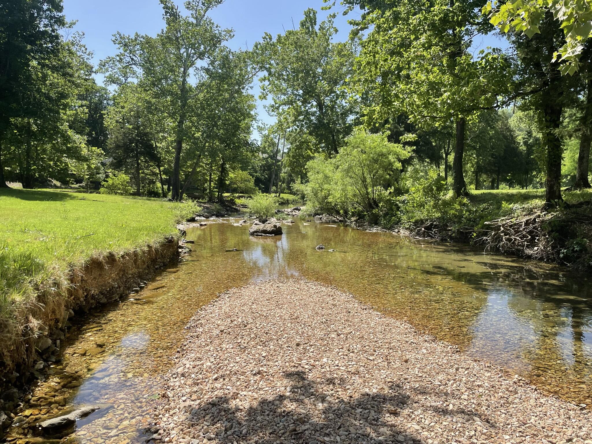Lot 116 Black Forest Lane Property Photo 25