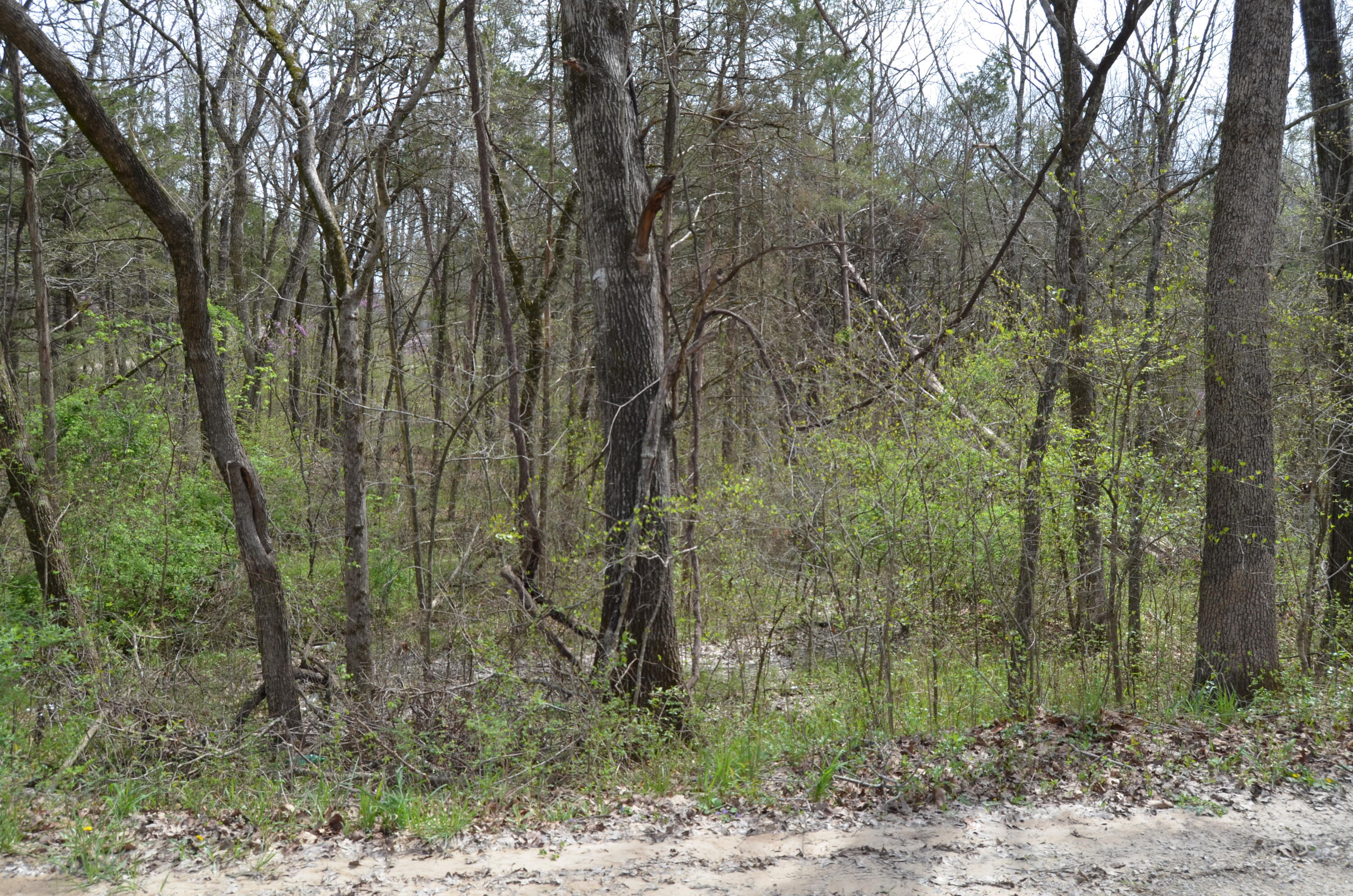 Lot 26 Poplar Road Property Photo