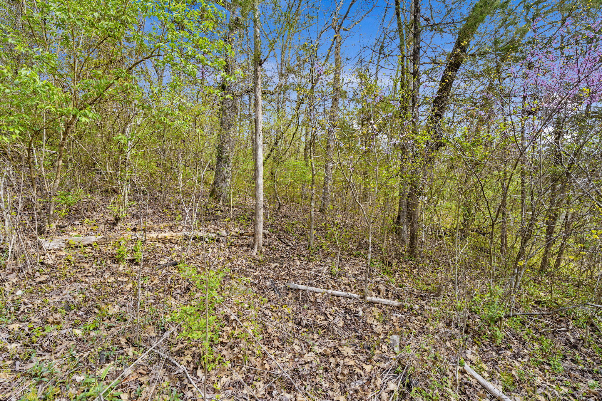 Lot 52 Richard Road Property Photo 5