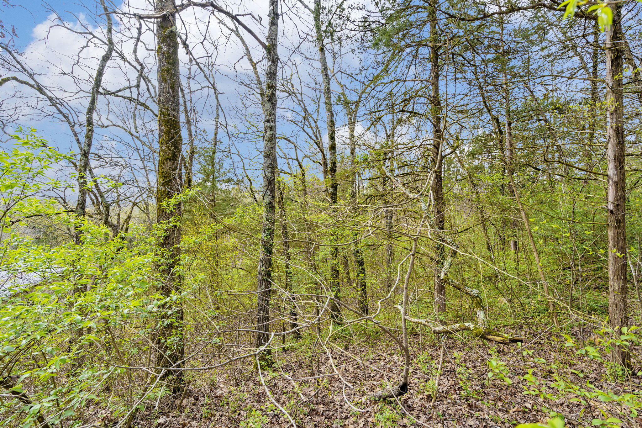 Lot 52 Richard Road Property Photo 6
