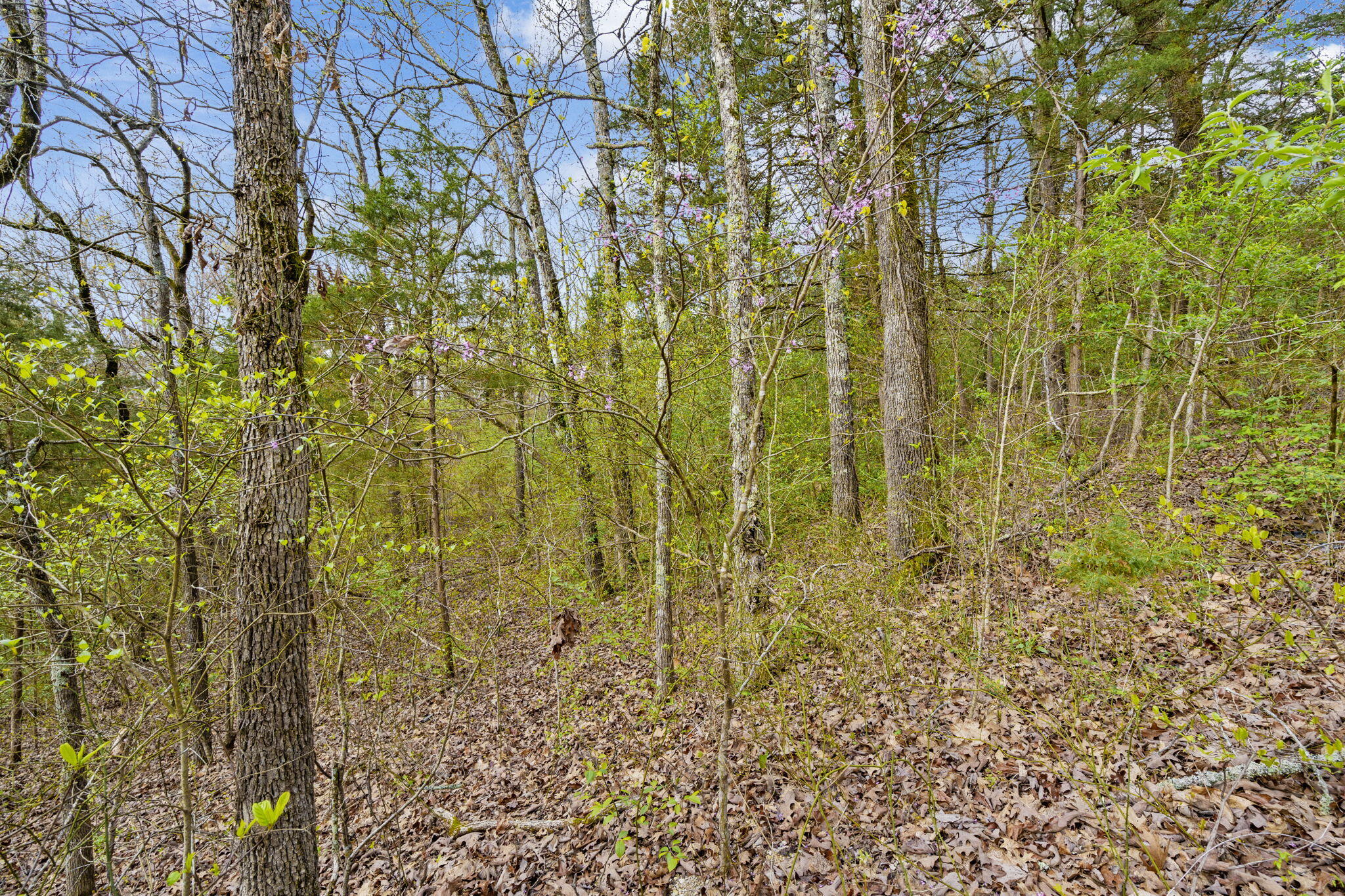 Lot 52 Richard Road Property Photo 8