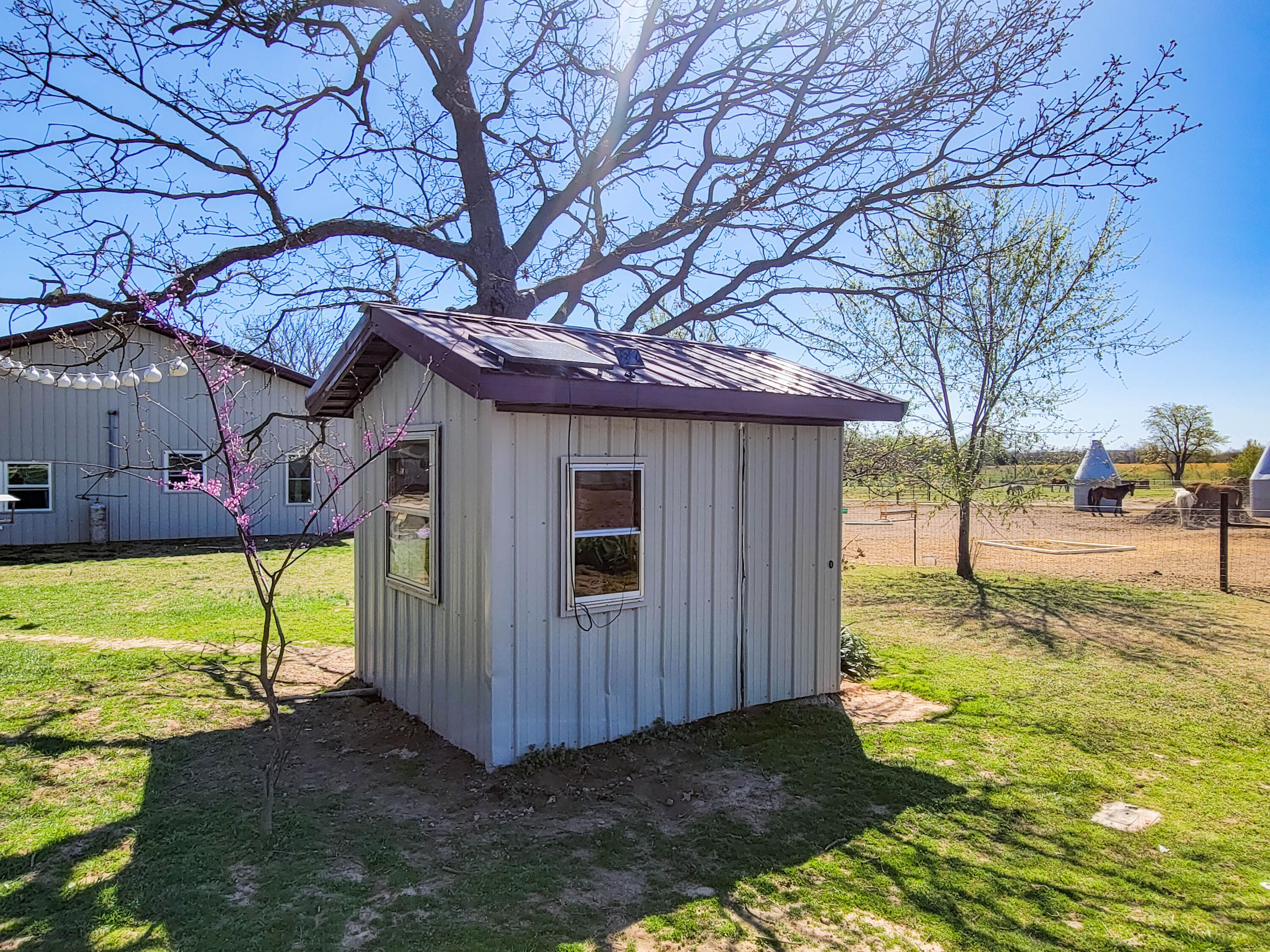 528 College Street Property Photo 17