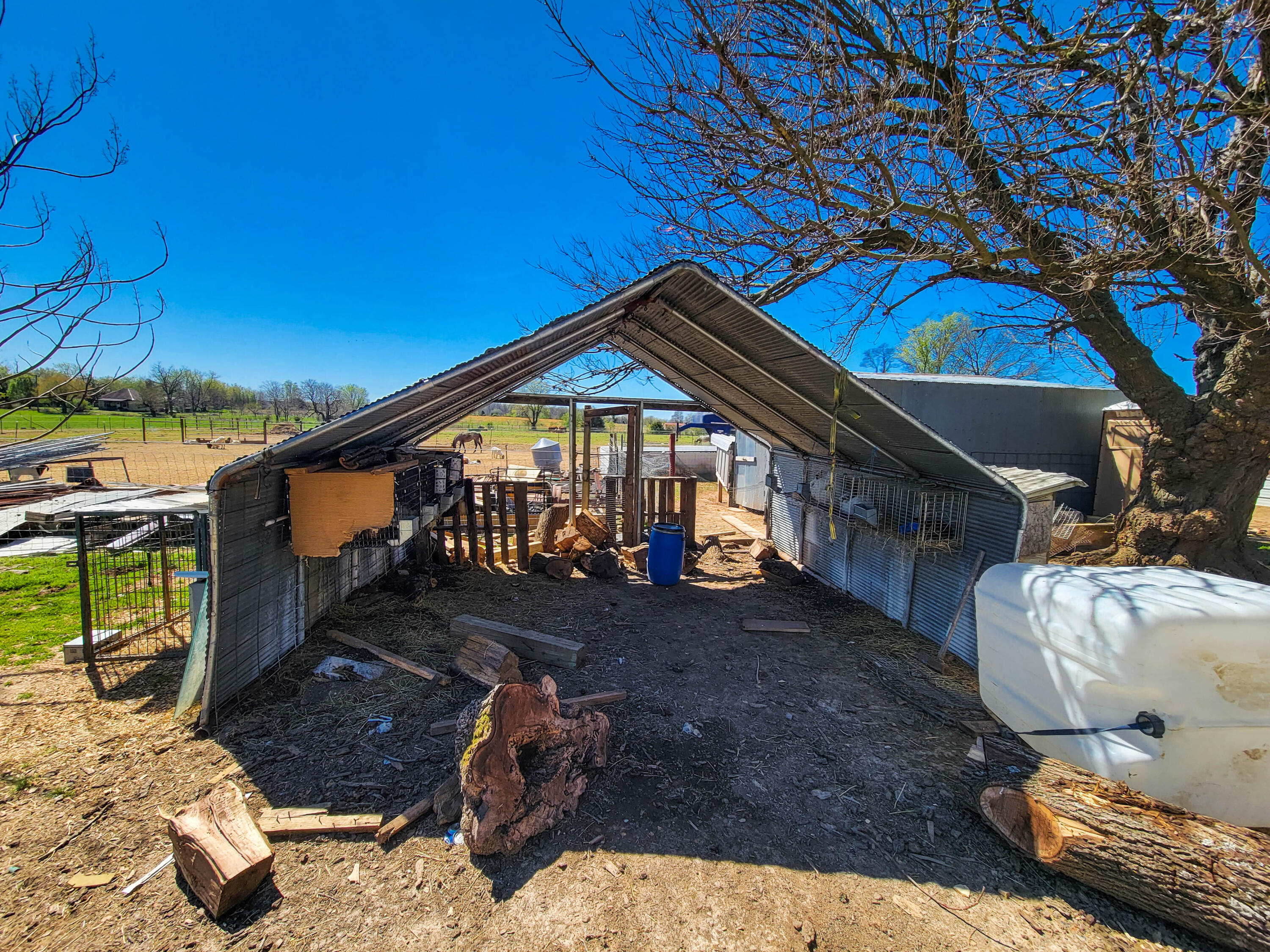528 College Street Property Photo 24