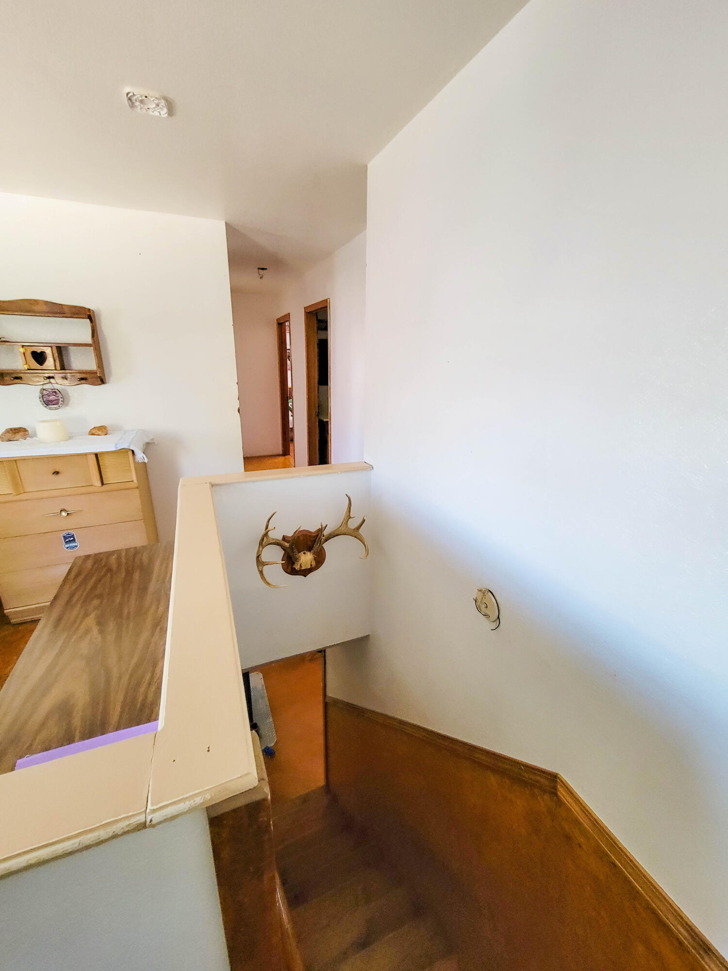 528 College Street Property Photo 47
