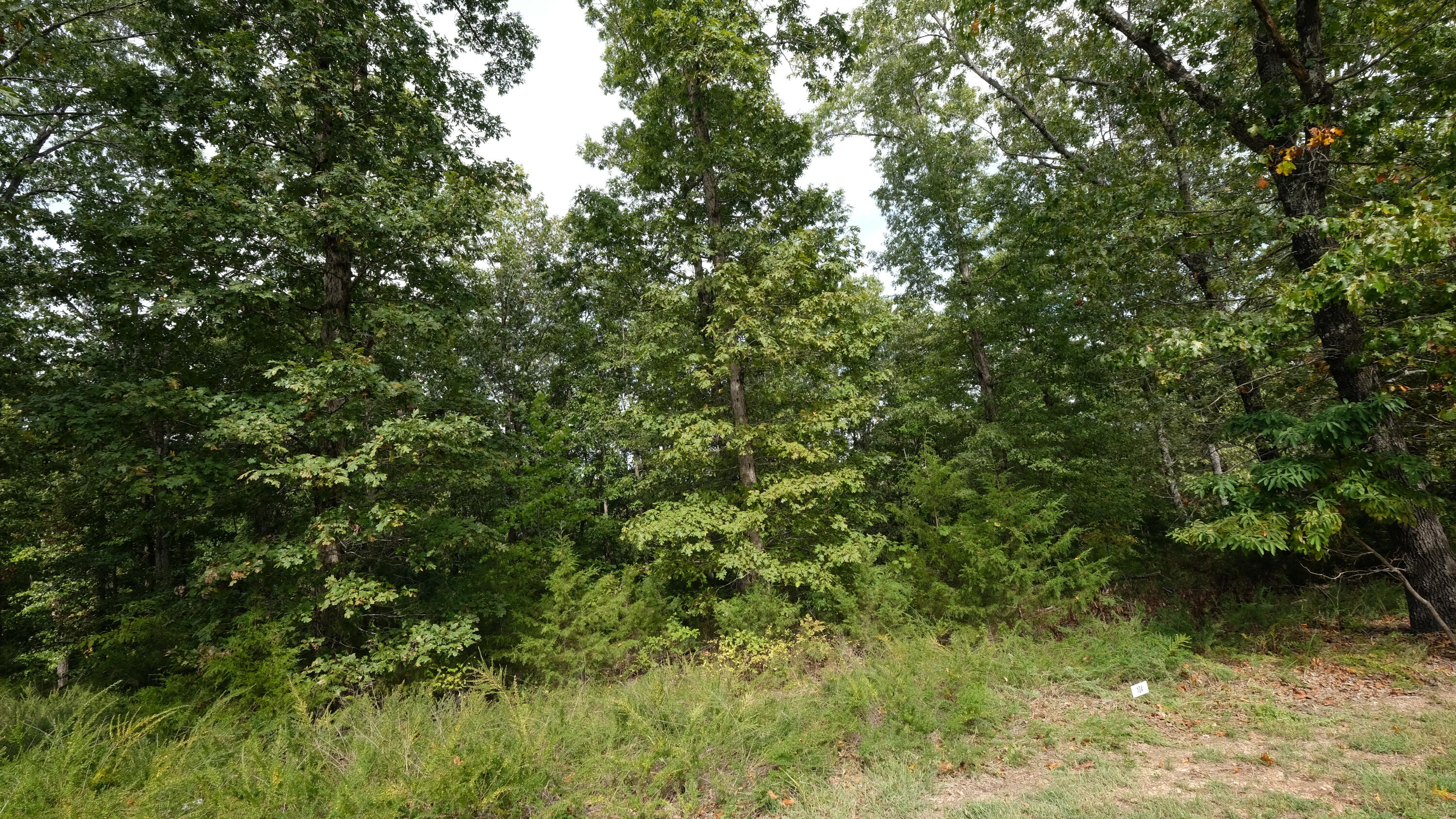 1173 Emory Creek Boulevard Property Photo 2