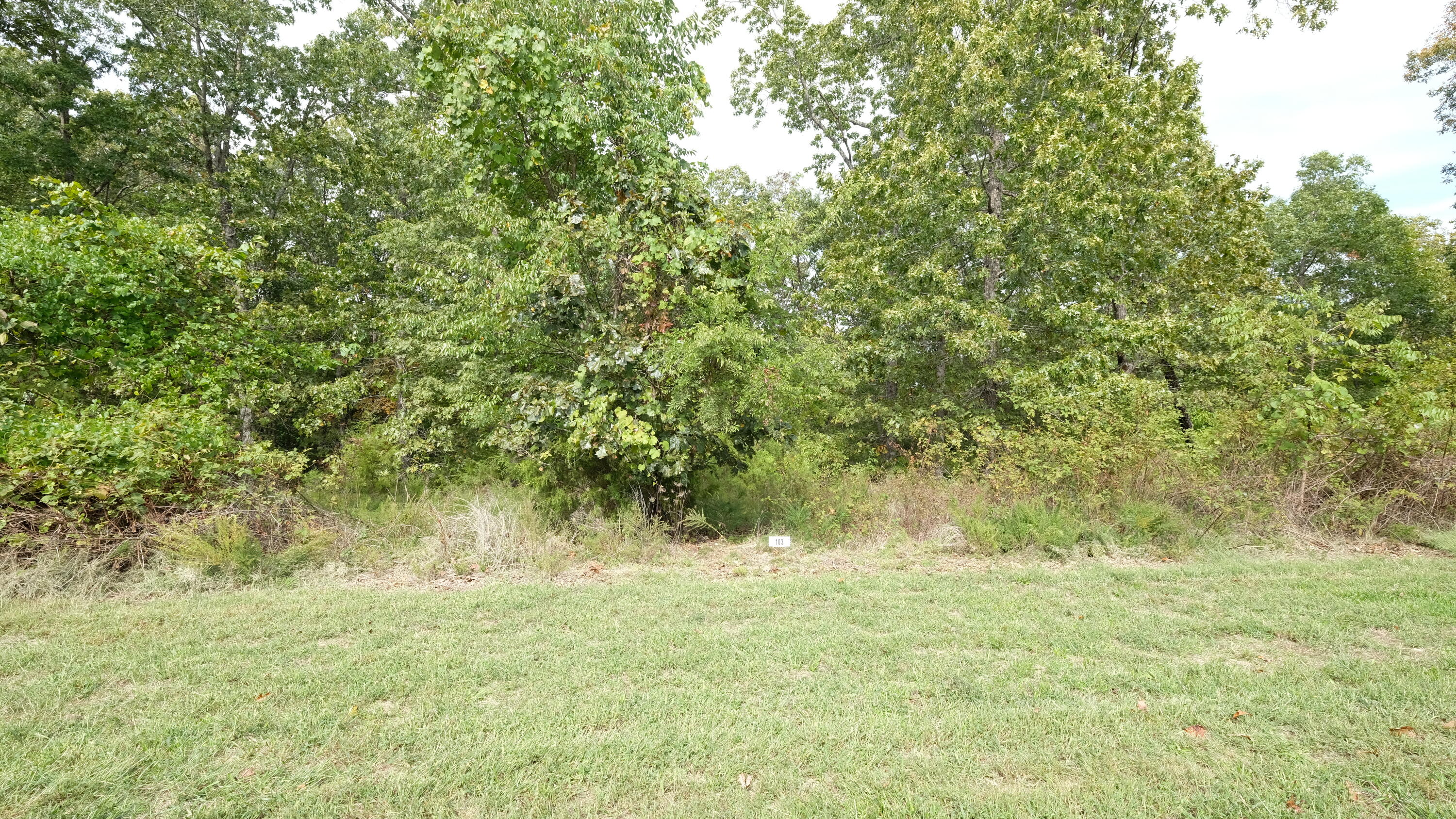 1191 Emory Creek Boulevard Property Photo 2
