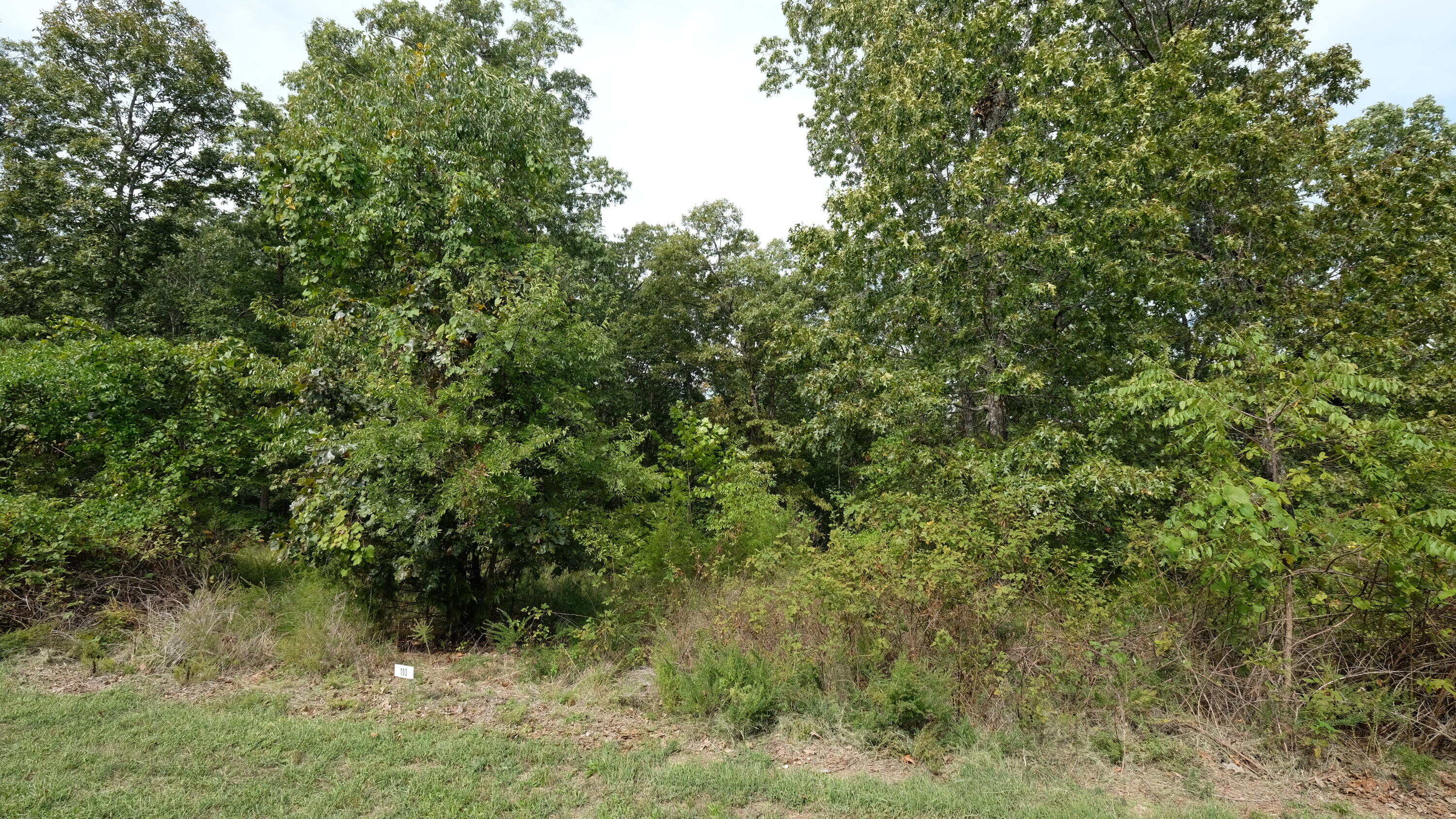 1191 Emory Creek Boulevard Property Photo 3