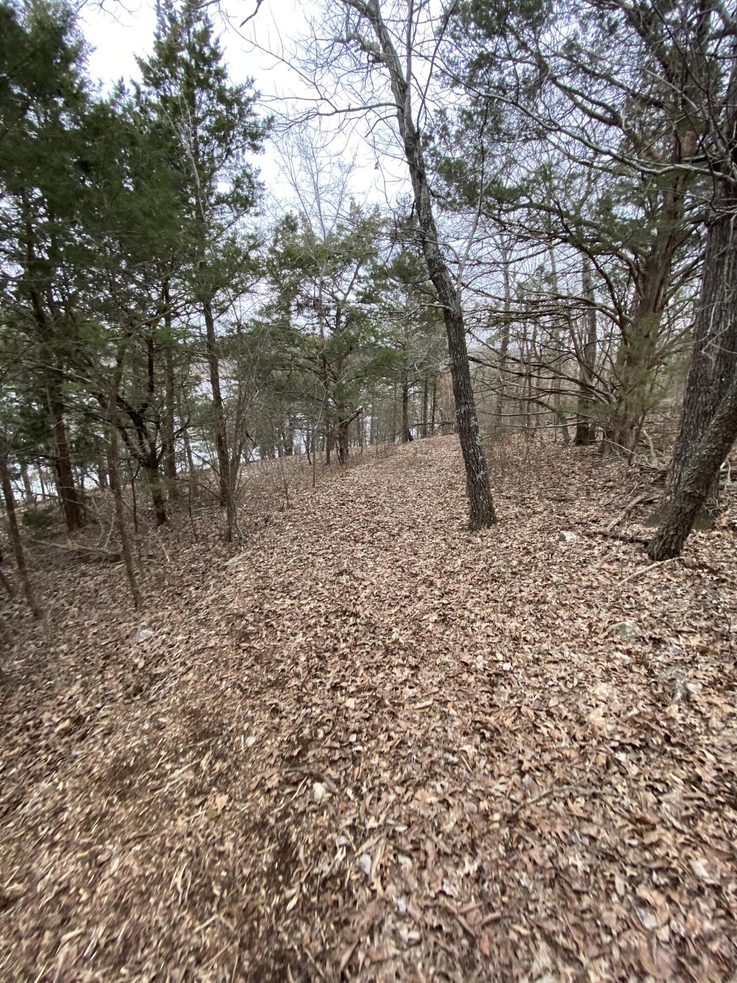 151 Hill Haven Road Property Photo 13