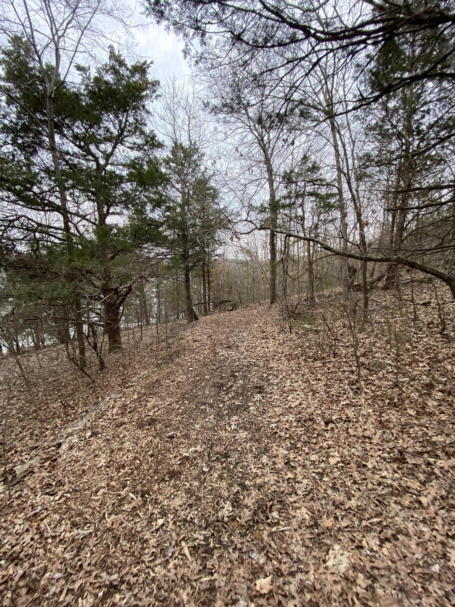 151 Hill Haven Road Property Photo 14