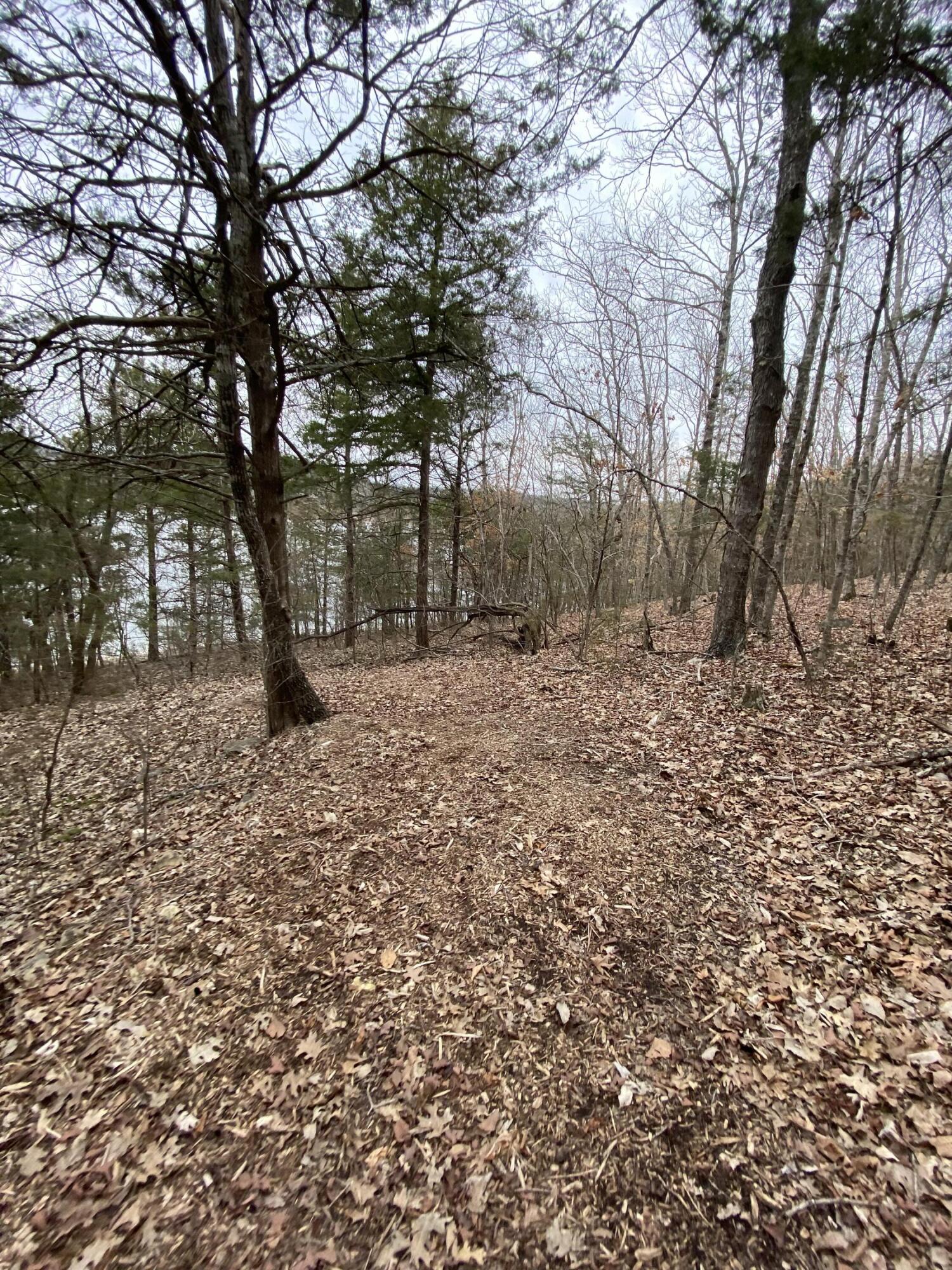 151 Hill Haven Road Property Photo 15