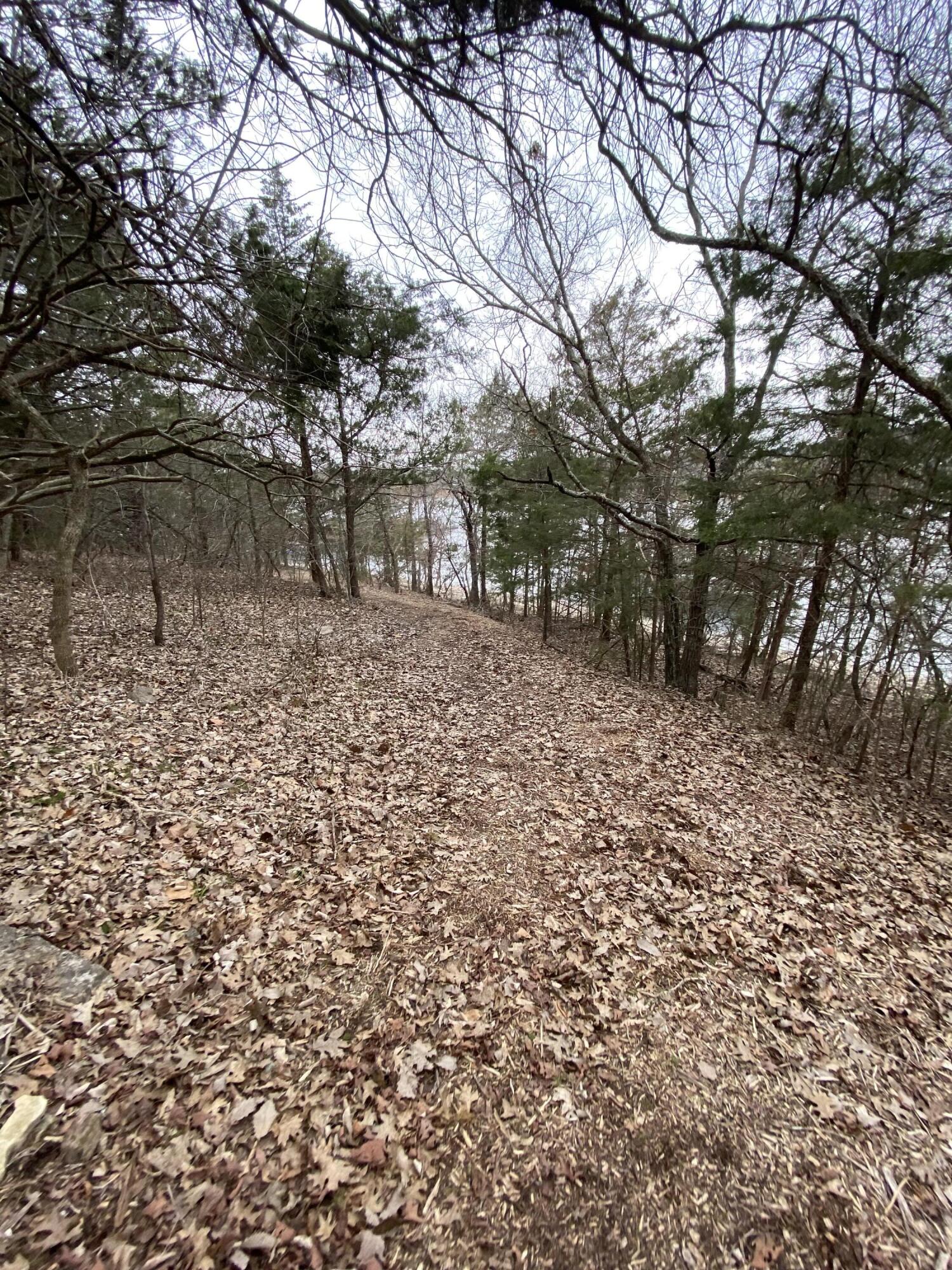 151 Hill Haven Road Property Photo 16
