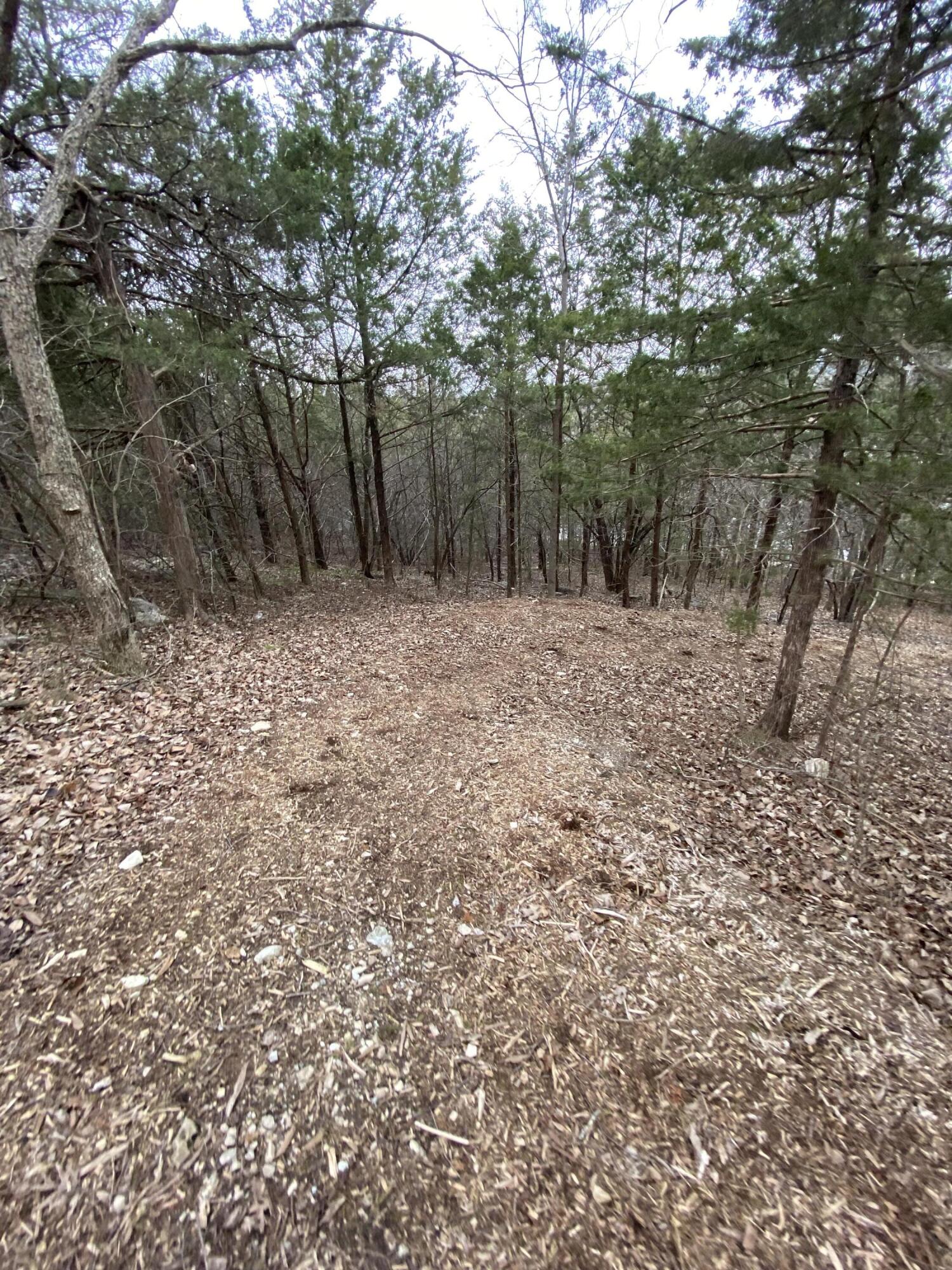 151 Hill Haven Road Property Photo 20