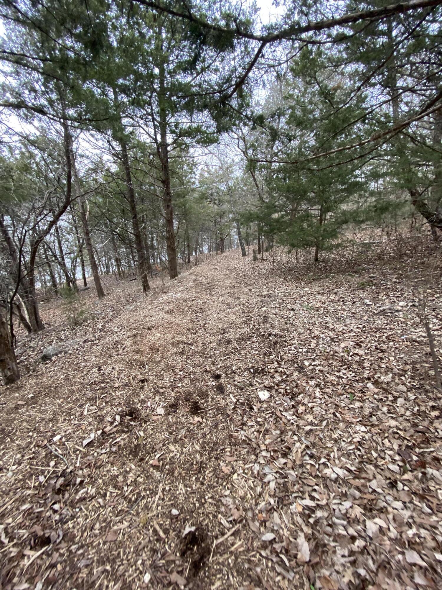 151 Hill Haven Road Property Photo 21