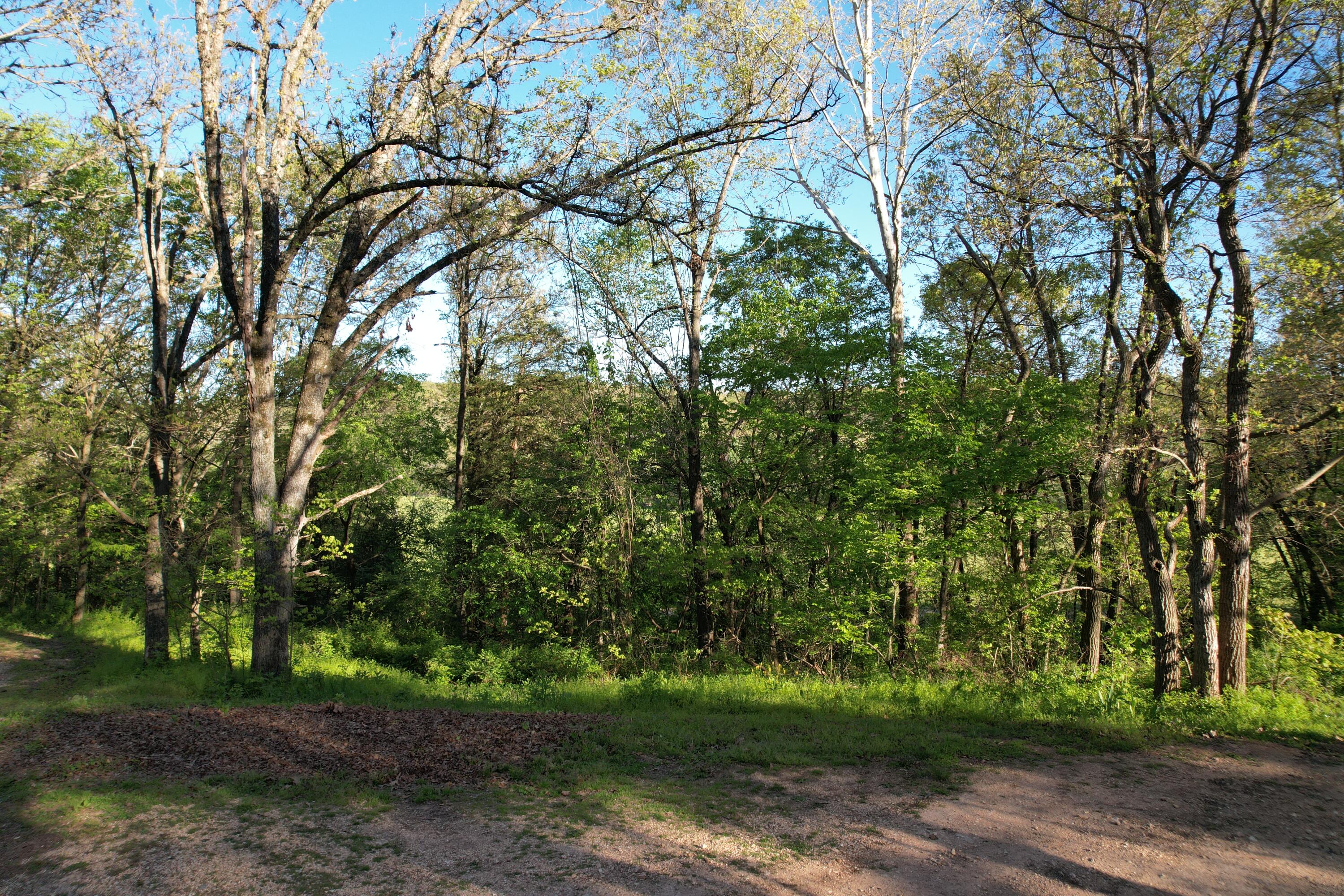 3787 Farm Road 1140 Property Photo 6