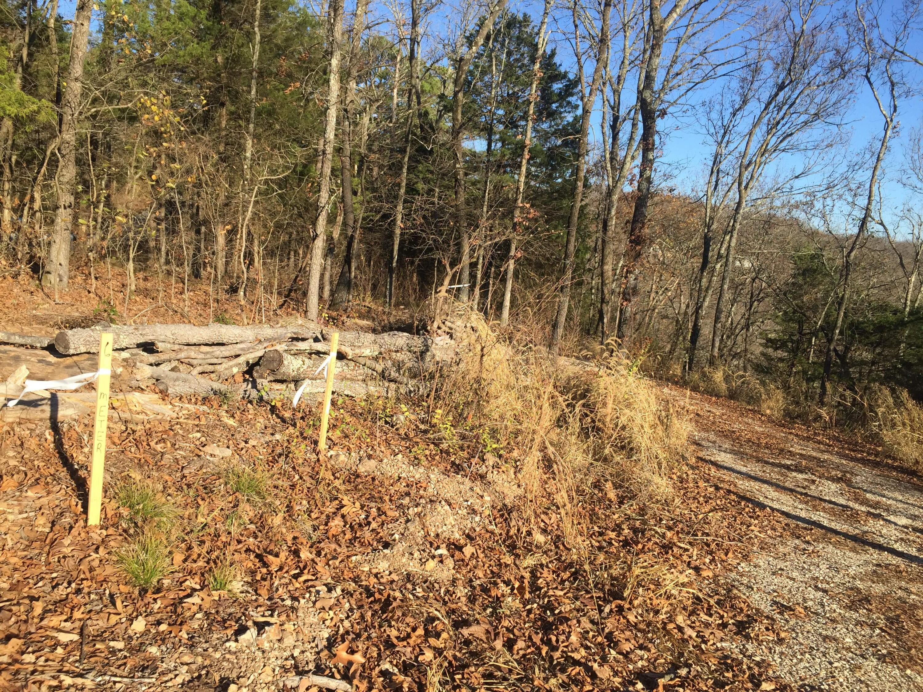 10 Acres Stallion Bluff Road Property Photo 4