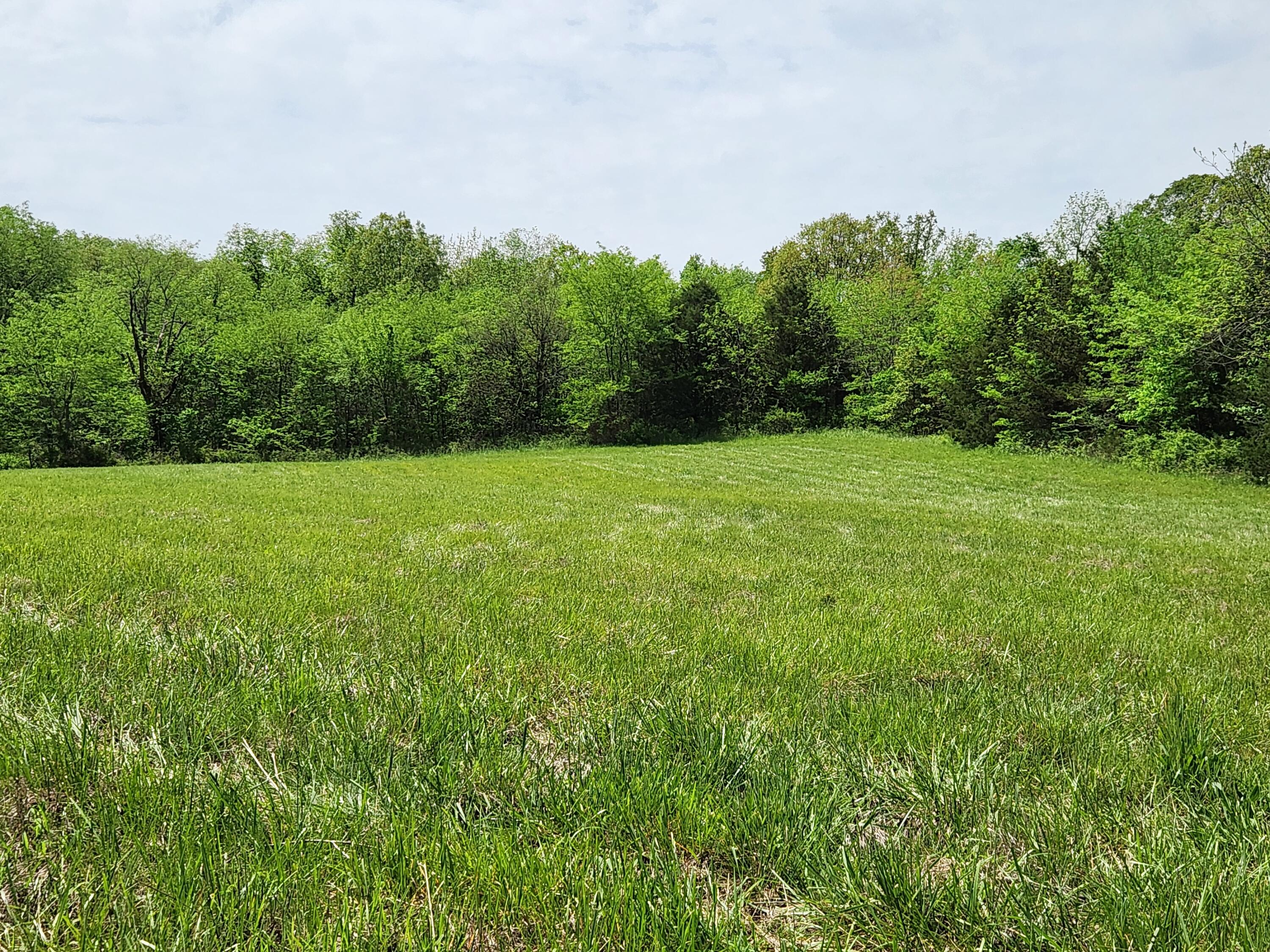 000 River Pass Dr Lot 11 Phase 2 Property Photo