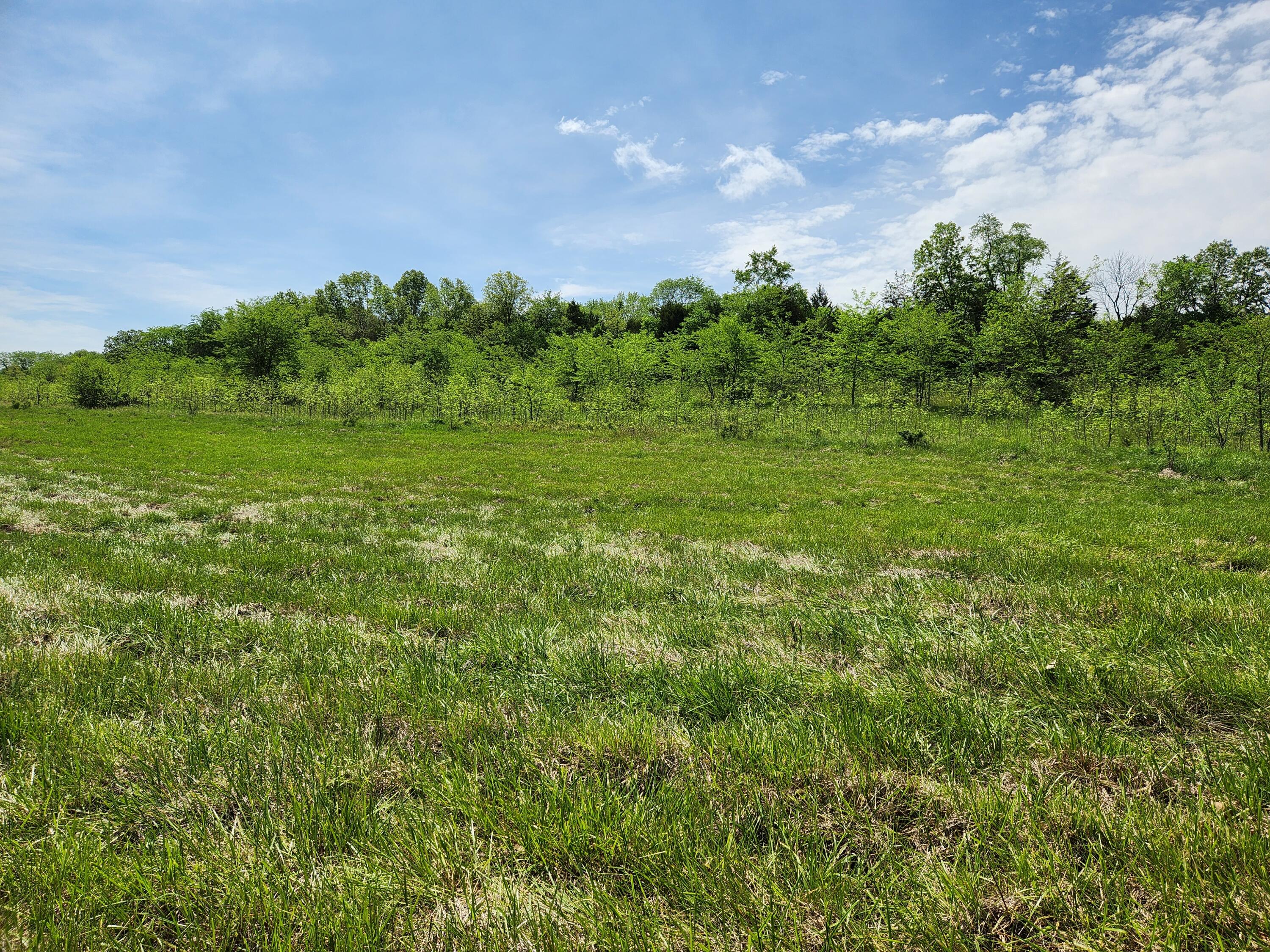 000 River Pass Drive Lot 4 Phase 1 Property Photo 1
