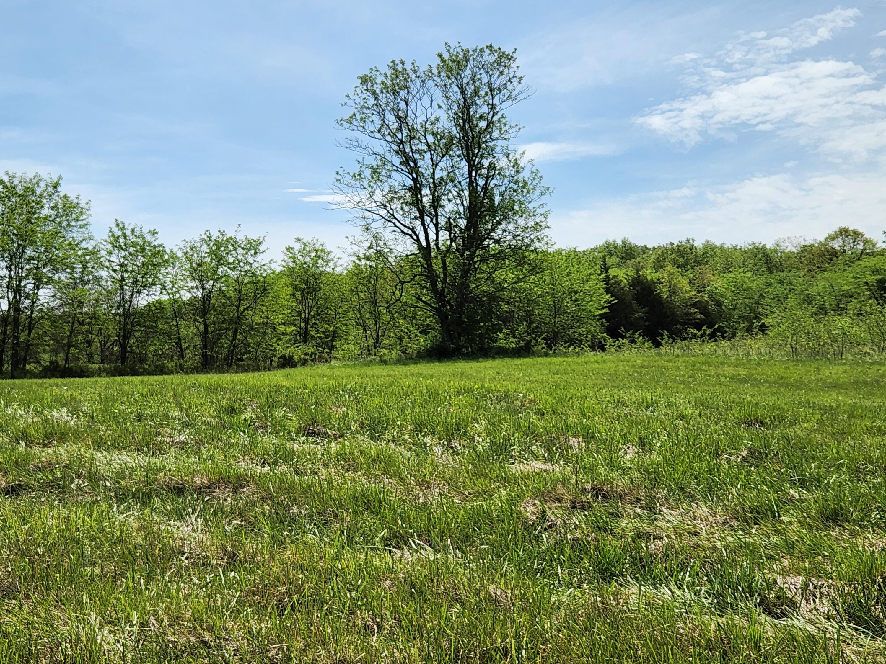 000 River Pass Drive Lot 6 Phase 1 Property Photo